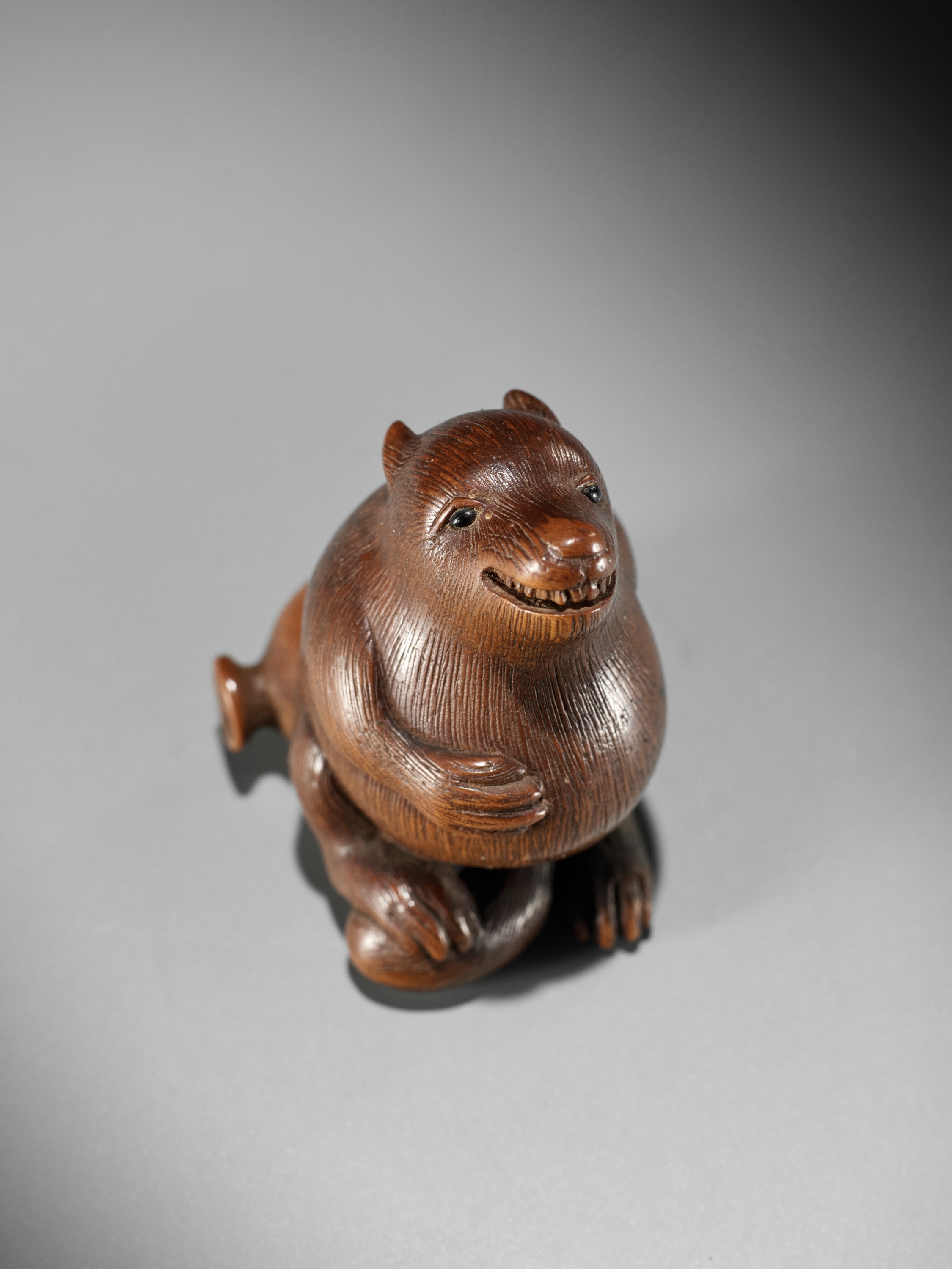 RANSEN: A FINE WOOD NETSUKE OF A DRUNKEN TANUKI HARA NO TSUZUMI - Image 7 of 14