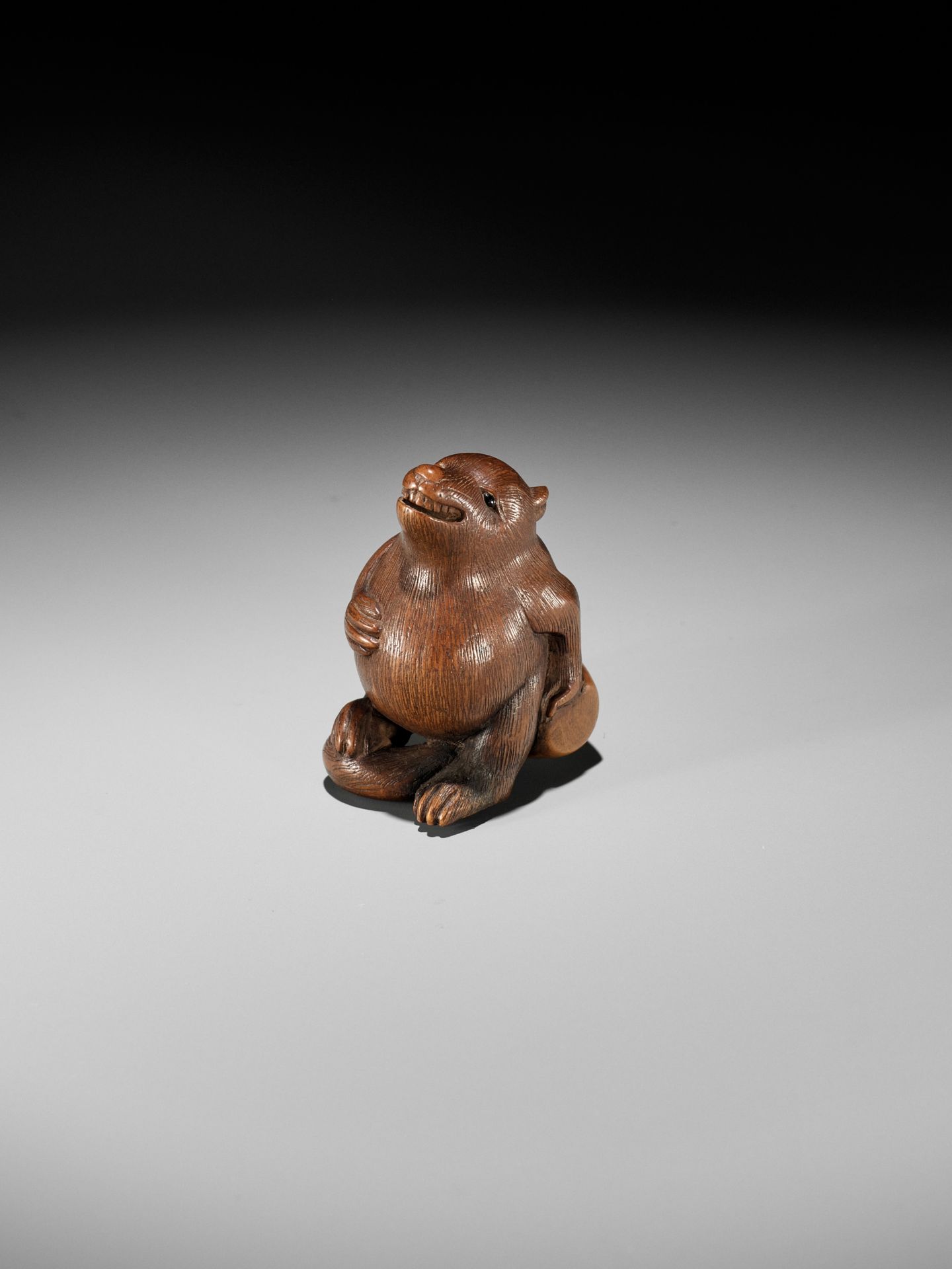 RANSEN: A FINE WOOD NETSUKE OF A DRUNKEN TANUKI HARA NO TSUZUMI - Image 9 of 14