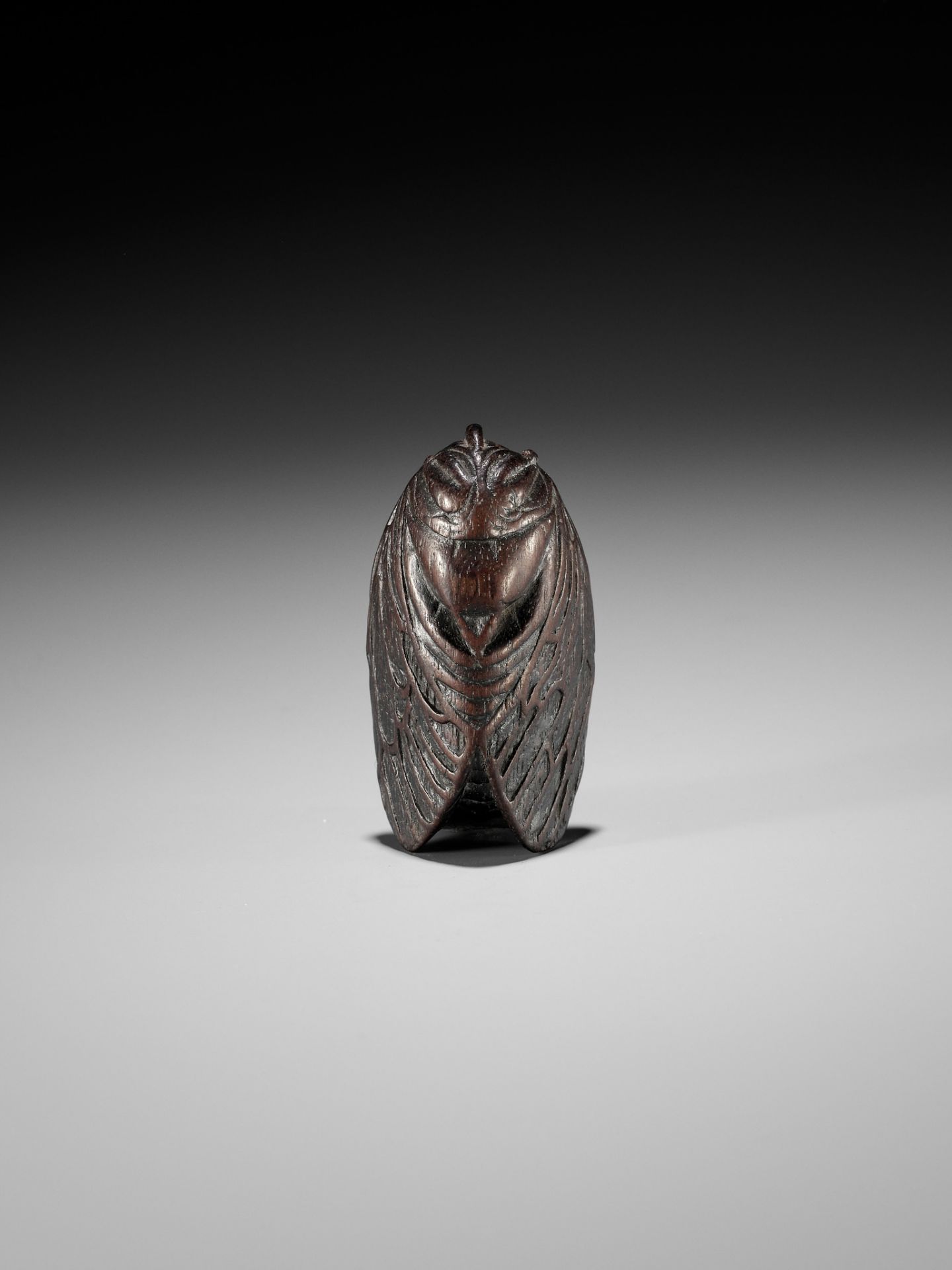 A RARE AND UNUSUAL WOOD MASK NETSUKE OF A CICADA - Image 4 of 12