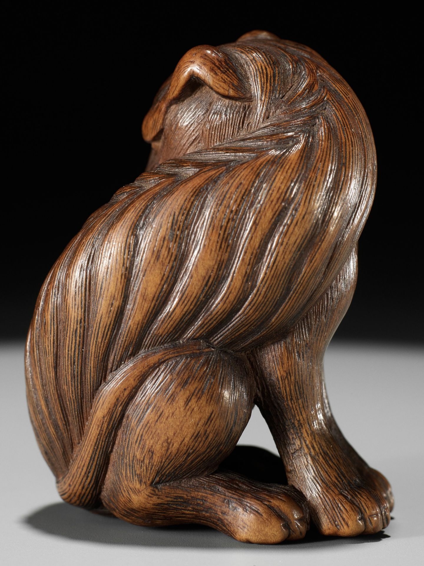 TADAKUNI: A SUPERB AND RARE WOOD NETSUKE OF A JAKONEKO (MUSK CAT) - Bild 9 aus 19