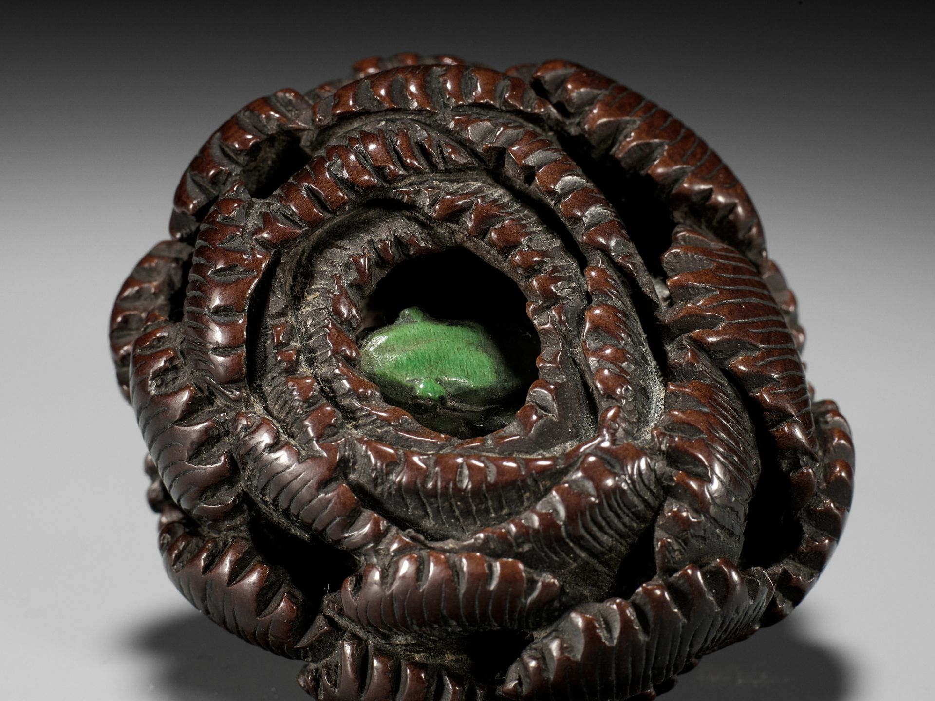 A RARE TOKYO SCHOOL COROZO NUT AND STAG ANTLER NETSUKE OF A FROG INSIDE A CHRYSANTHEMUM