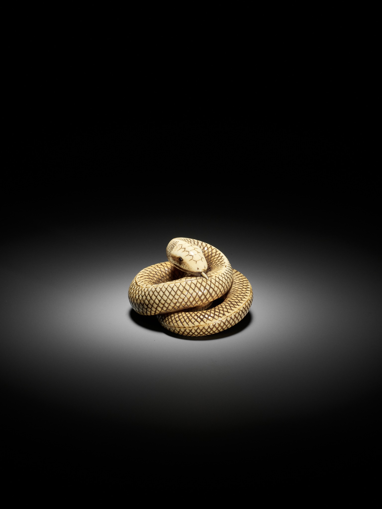 AN IVORY NETSUKE OF A COILED SNAKE, ATTRIBUTED TO OKATOMO - Image 2 of 16