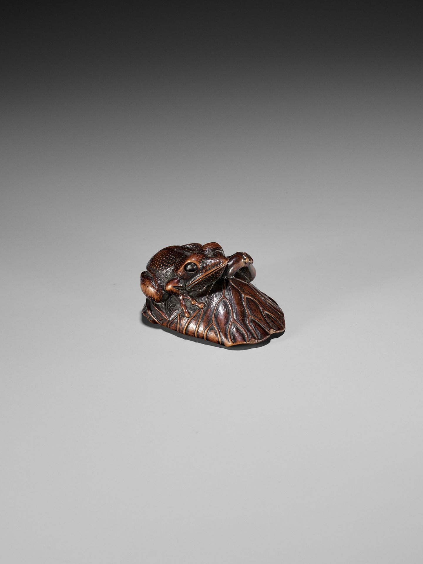 A FINE WOOD NETSUKE OF A TOAD ON A LOTUS LEAF - Bild 7 aus 9