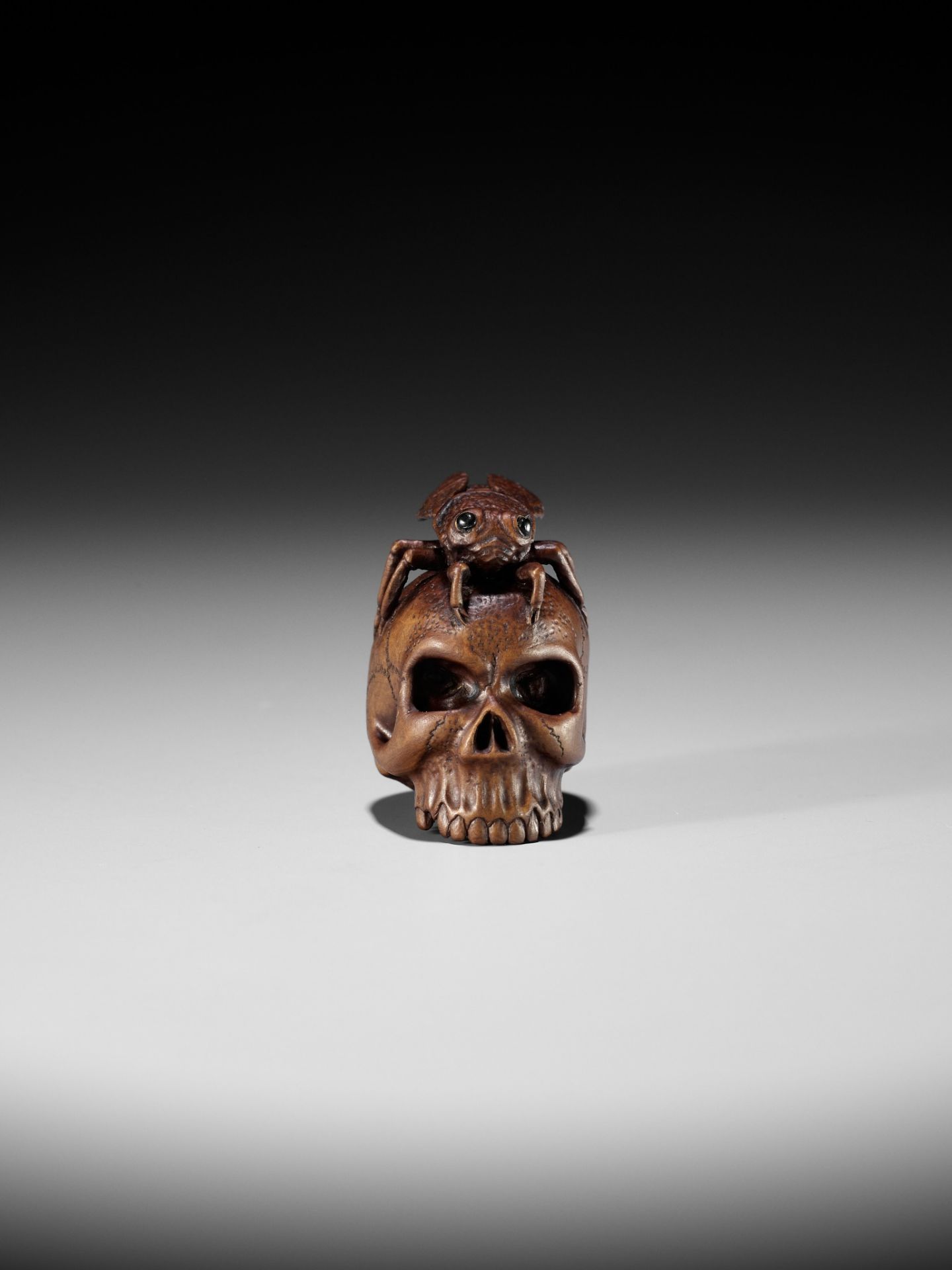 ALEXANDER DERKACHENKO: A WOOD NETSUKE OF A CICADA ON A SKULL - Image 3 of 16