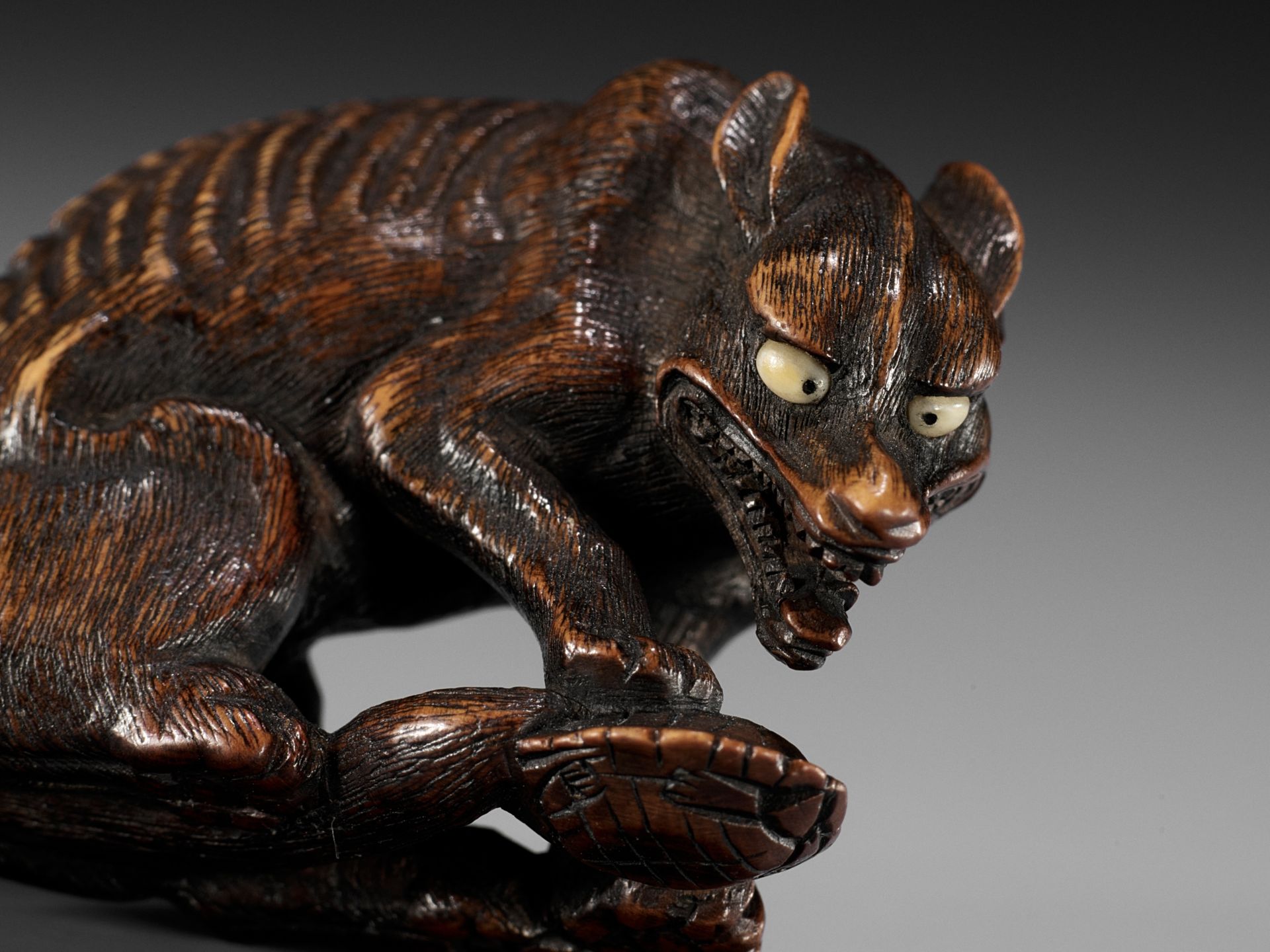 A SUPERB TOYOMASA SCHOOL WOOD NETSUKE OF AN EMACIATED WOLF WITH TORTOISE - Bild 3 aus 15