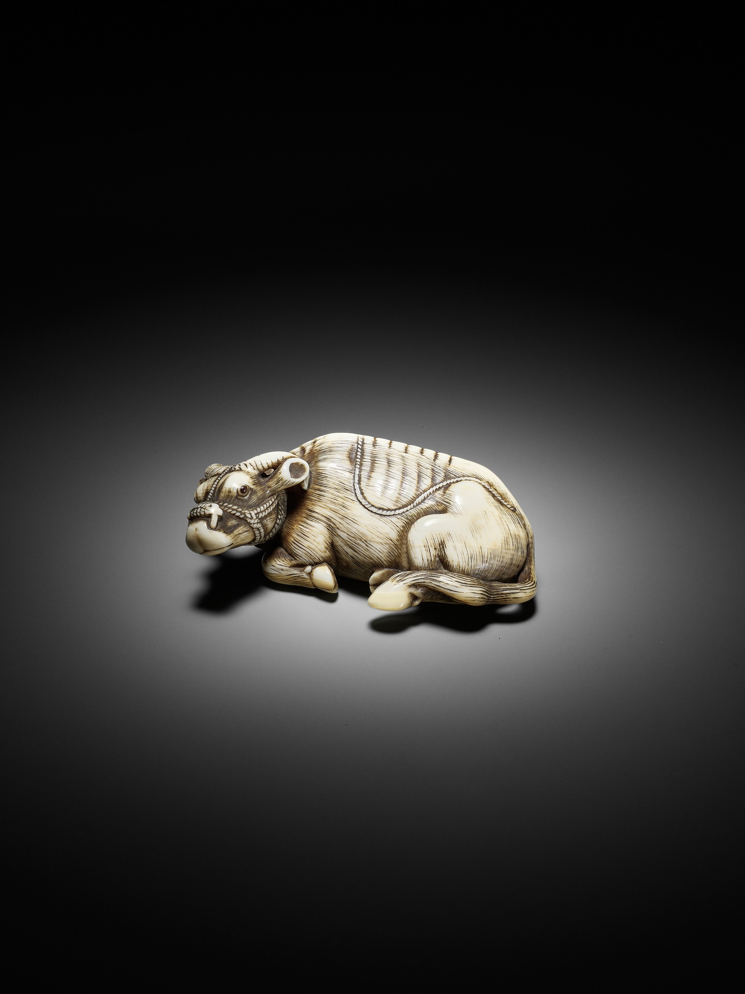 TOMOTADA: A SUPERB IVORY NETSUKE OF A RECUMBENT COW - Image 8 of 18