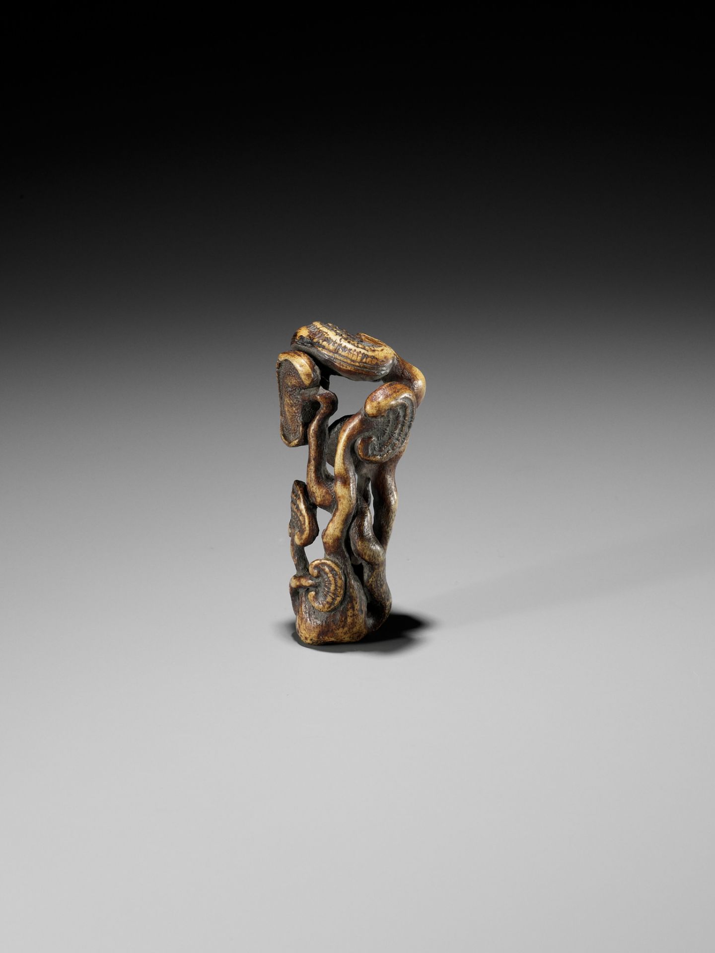 A STAG ANTLER NETSUKE OF REISHI FUNGI - Image 6 of 8