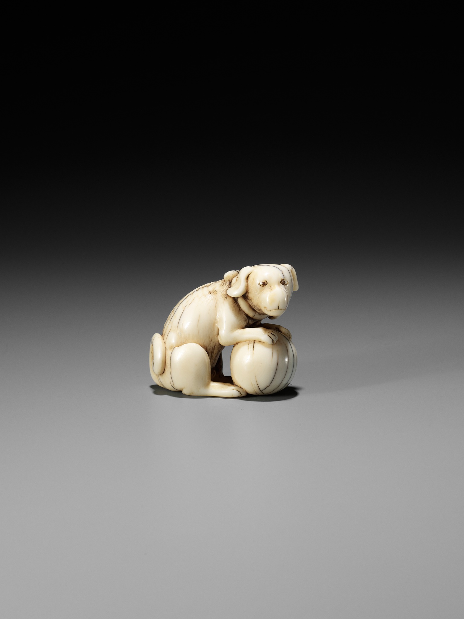 TOMOTADA: AN IVORY NETSUKE OF A DOG WITH BALL - Image 9 of 12