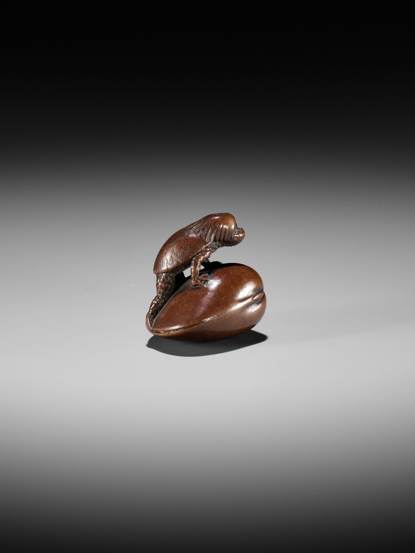 SUKETADA: A FINE WOOD NETSUKE OF A KAPPA TRAPPED BY A CLAM - Image 12 of 16