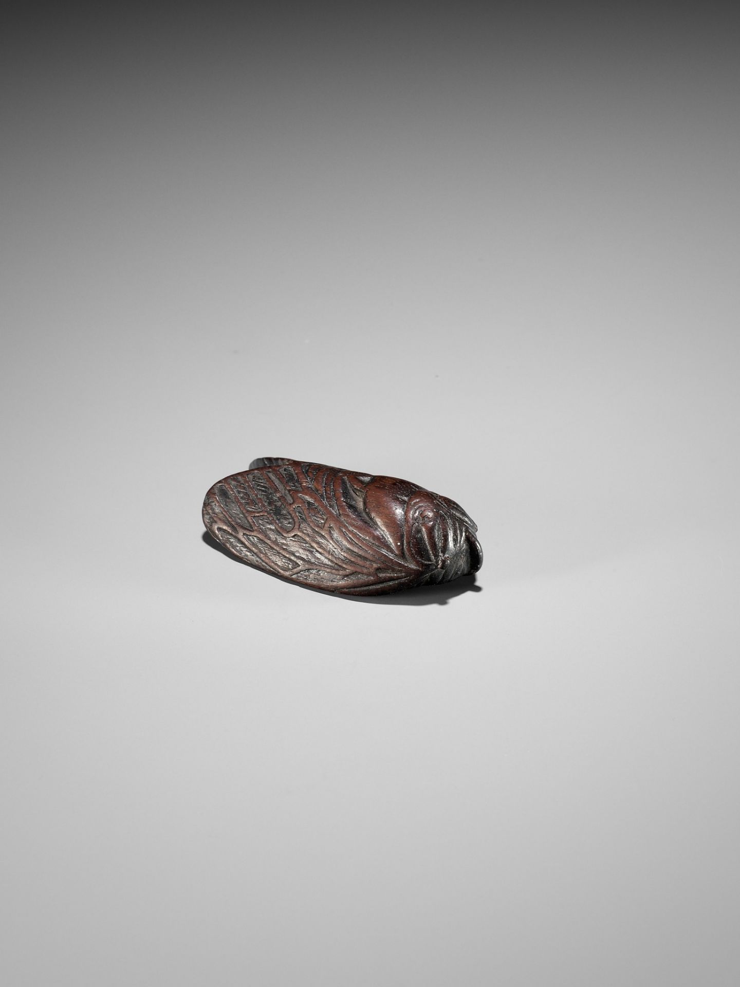 A RARE AND UNUSUAL WOOD MASK NETSUKE OF A CICADA - Image 5 of 12