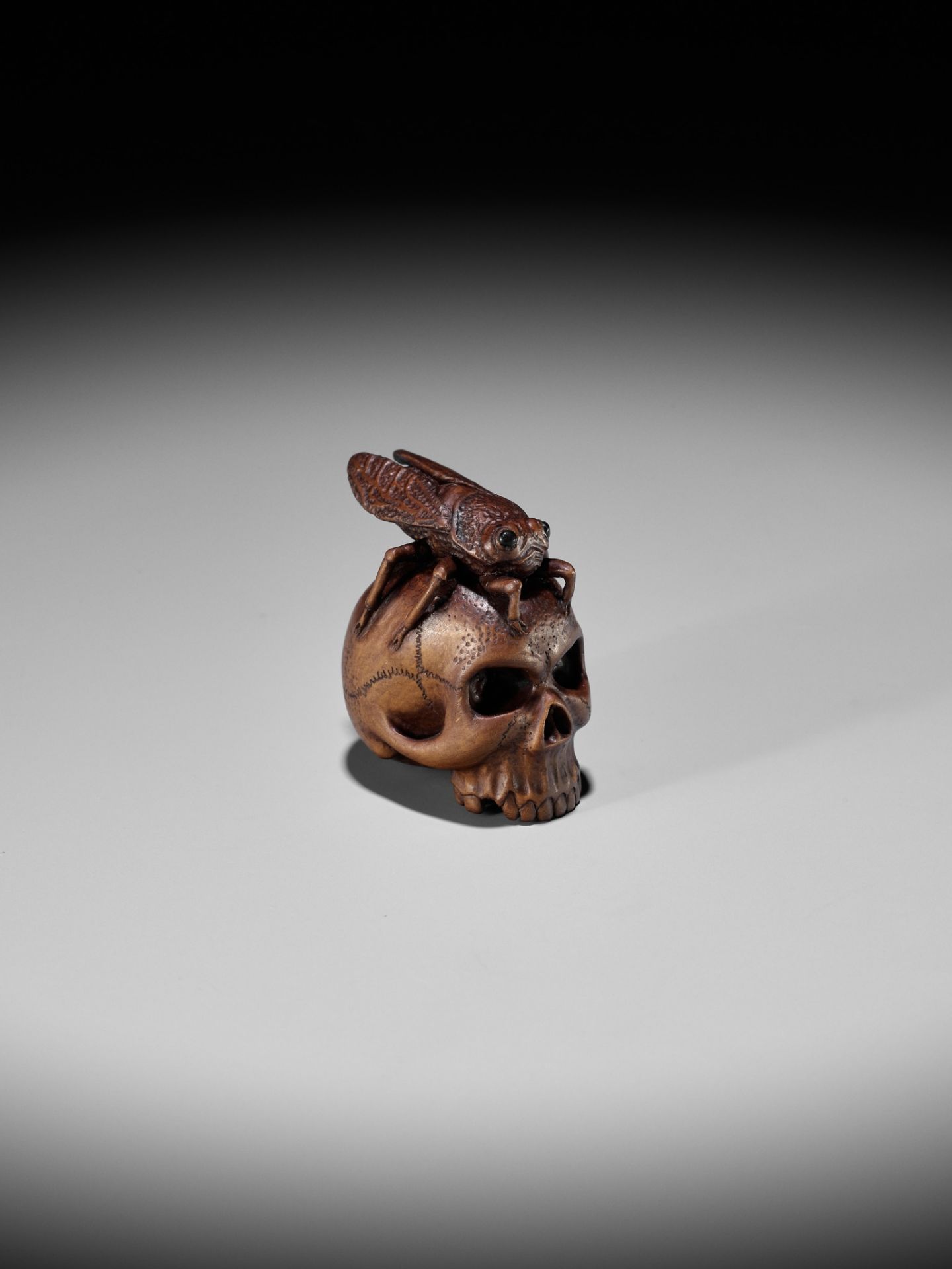 ALEXANDER DERKACHENKO: A WOOD NETSUKE OF A CICADA ON A SKULL - Bild 5 aus 16