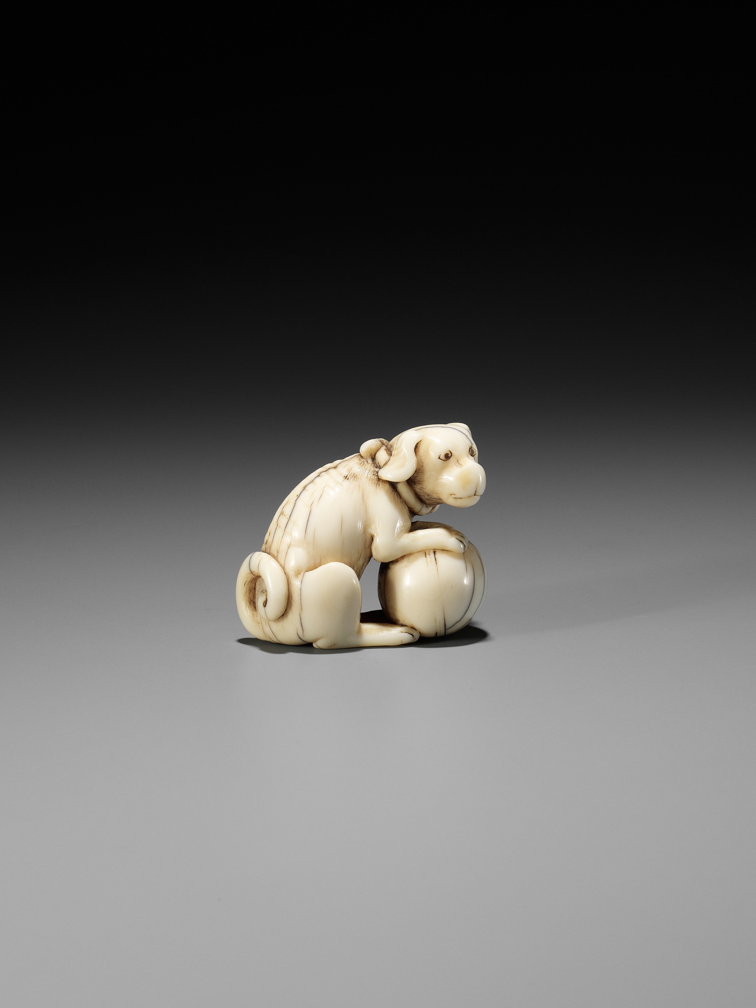 TOMOTADA: AN IVORY NETSUKE OF A DOG WITH BALL - Image 8 of 12