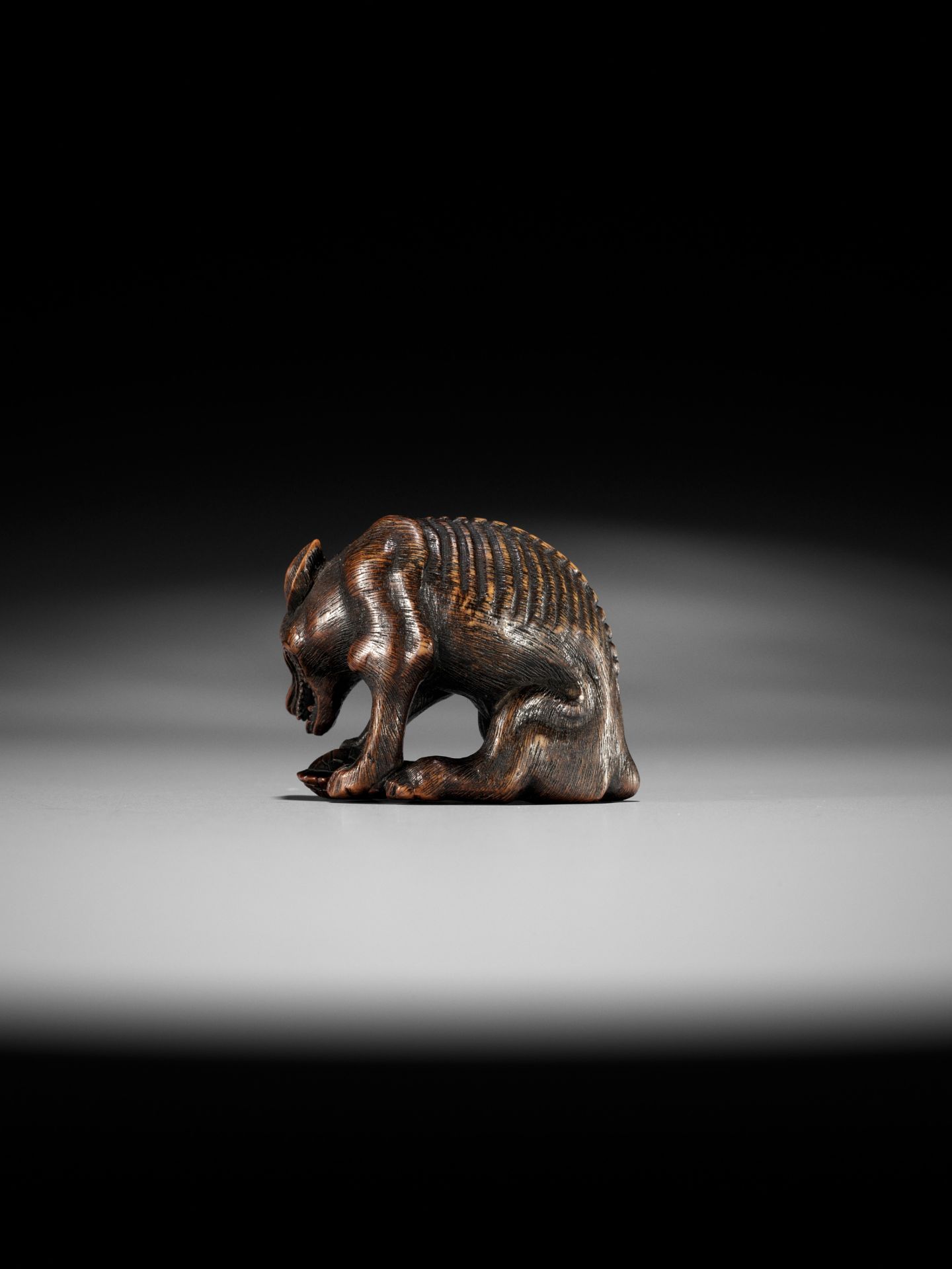 A SUPERB TOYOMASA SCHOOL WOOD NETSUKE OF AN EMACIATED WOLF WITH TORTOISE - Image 6 of 15
