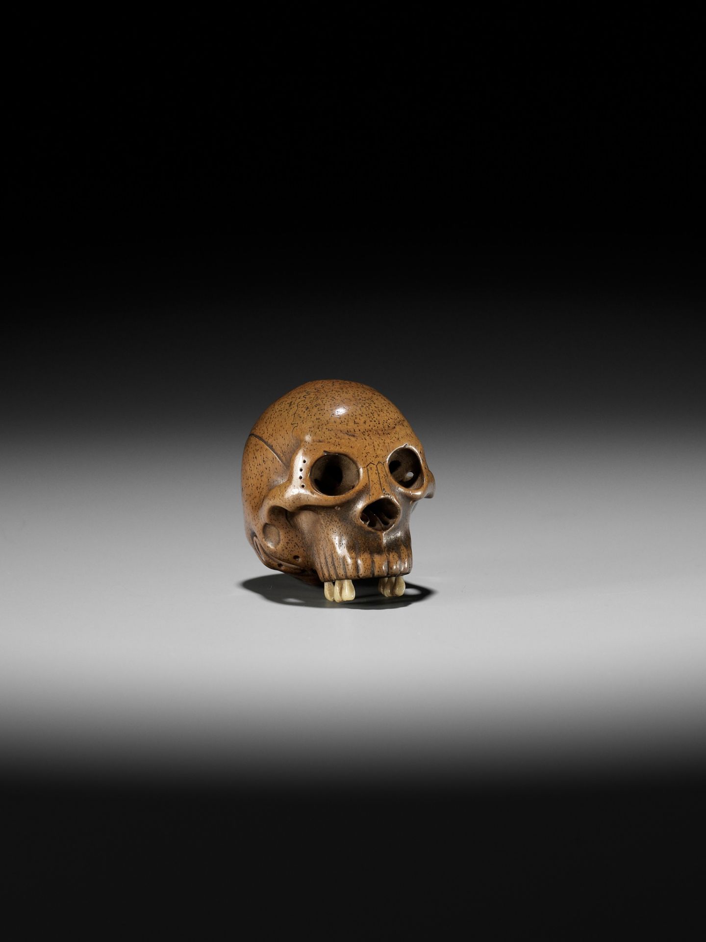 TADASHIGE: A SUPERB WOOD NETSUKE OF A SKULL WITH INLAID STAG ANTLER TEETH - Image 11 of 12