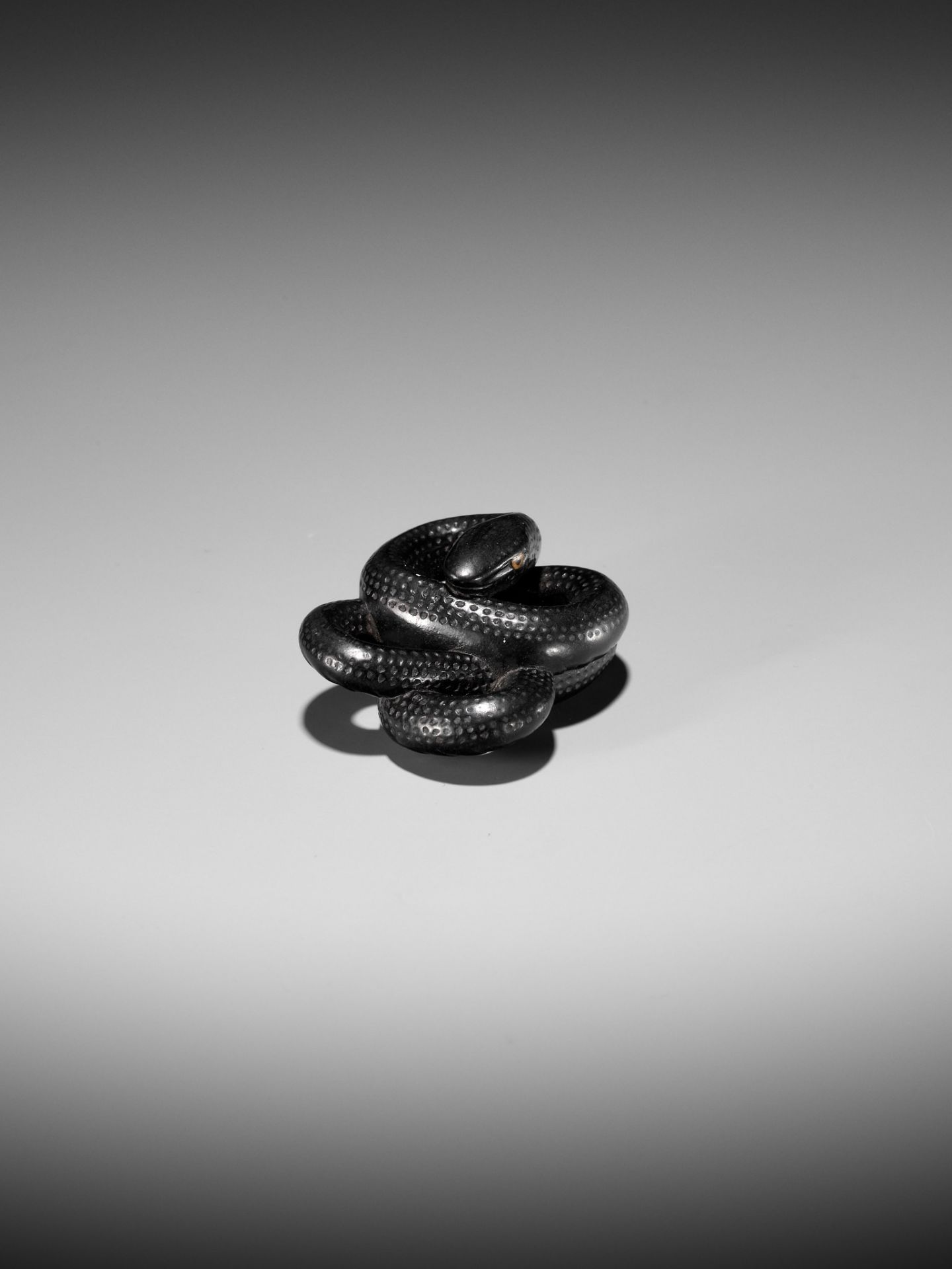 A RARE EBONY WOOD NETSUKE OF COILED SNAKE - Image 9 of 10