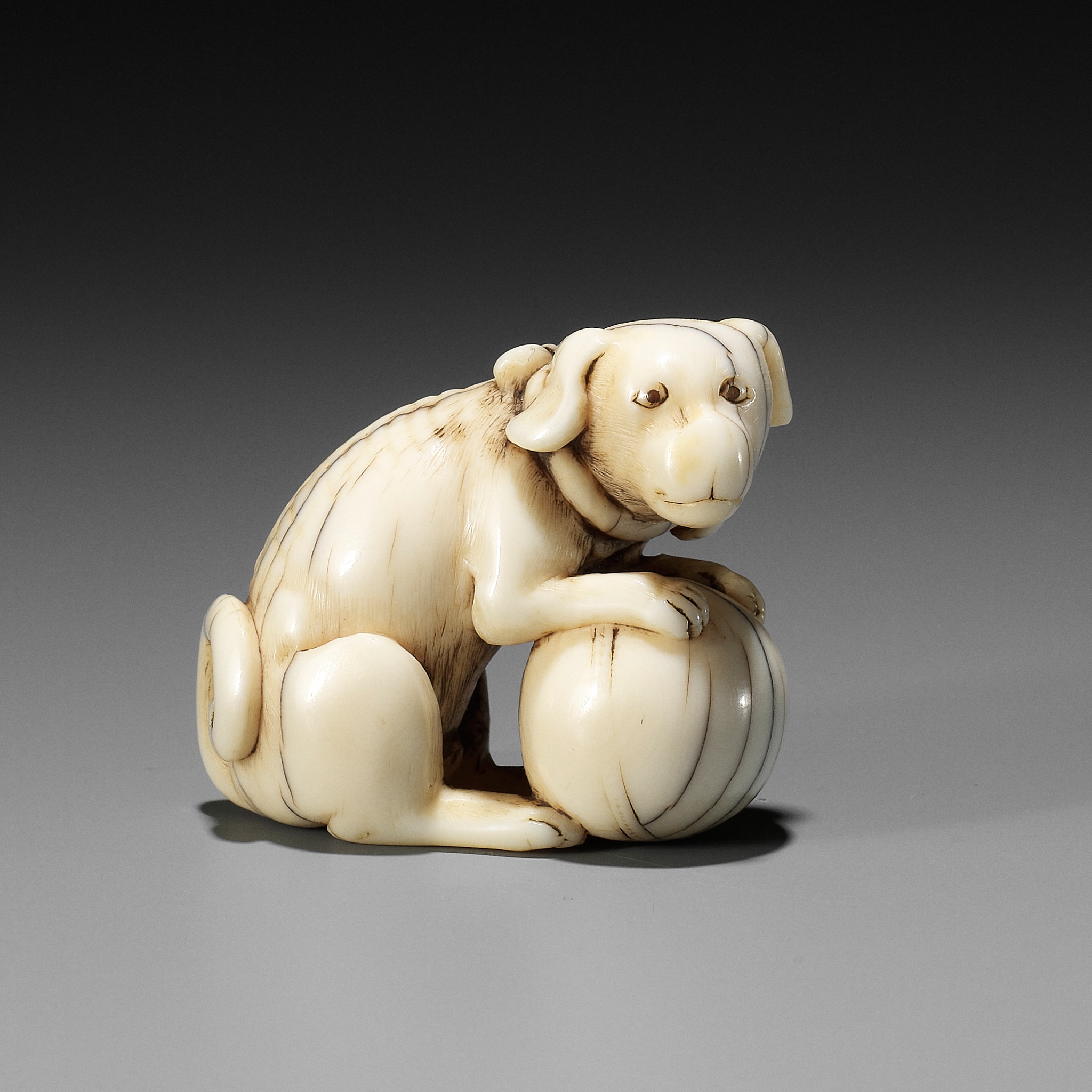 TOMOTADA: AN IVORY NETSUKE OF A DOG WITH BALL