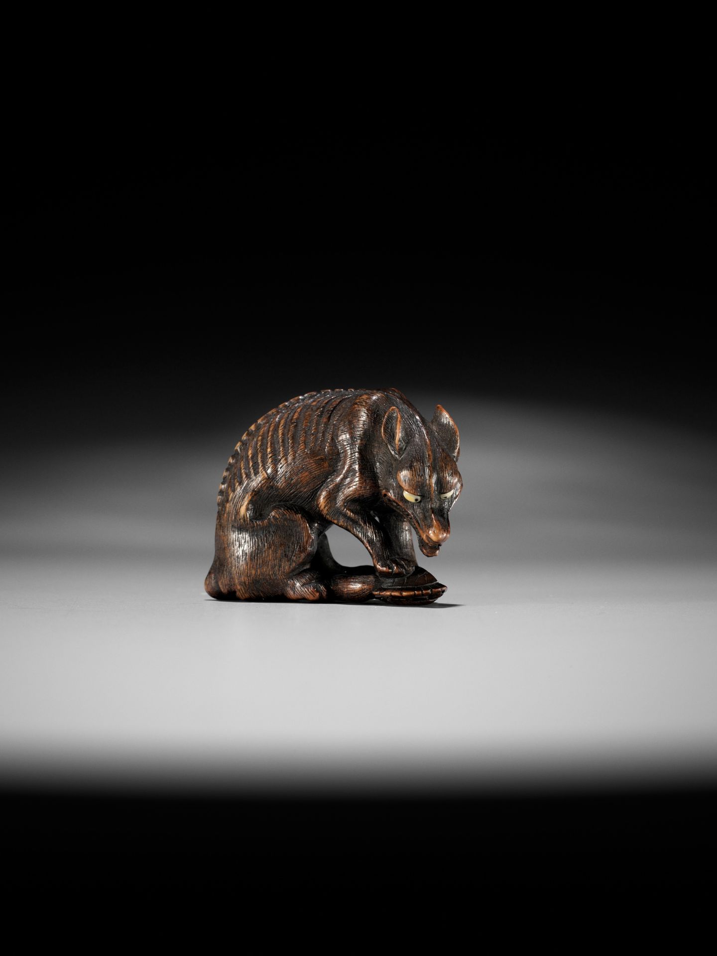 A SUPERB TOYOMASA SCHOOL WOOD NETSUKE OF AN EMACIATED WOLF WITH TORTOISE - Image 10 of 15