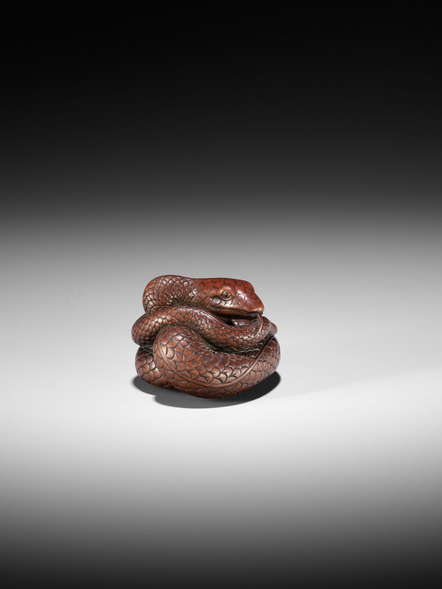 AN EXCEPTIONAL AND LARGE WOOD NETSUKE OF A SNAKE, ATTRIBUTED TO OKATOMO - Image 13 of 19