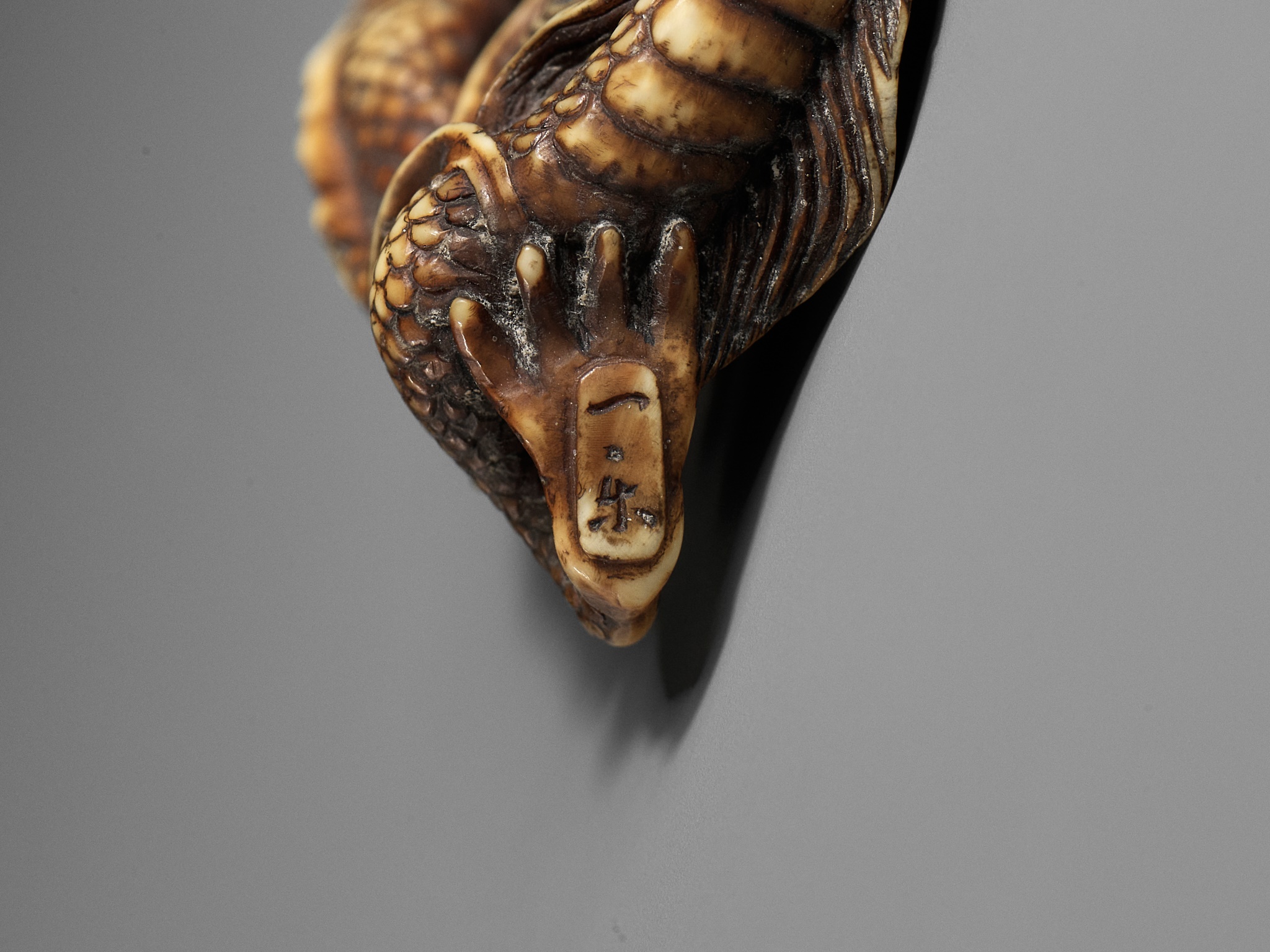 ITTO: A RARE OBIDOME-FORM IVORY NETSUKE OF A WRITHING RAIN DRAGON - Image 12 of 13