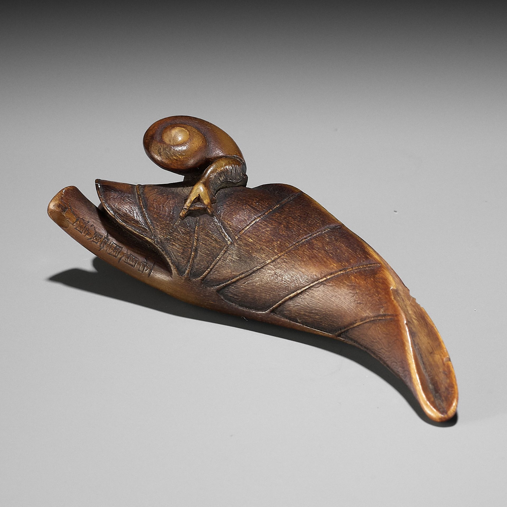 KANMAN: A RARE BUFFALO HORN NETSUKE OF A SNAIL ON A TARO LEAF