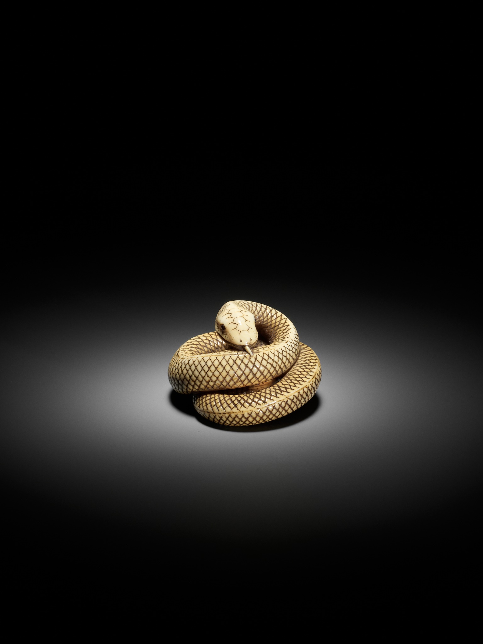 AN IVORY NETSUKE OF A COILED SNAKE, ATTRIBUTED TO OKATOMO - Image 13 of 16