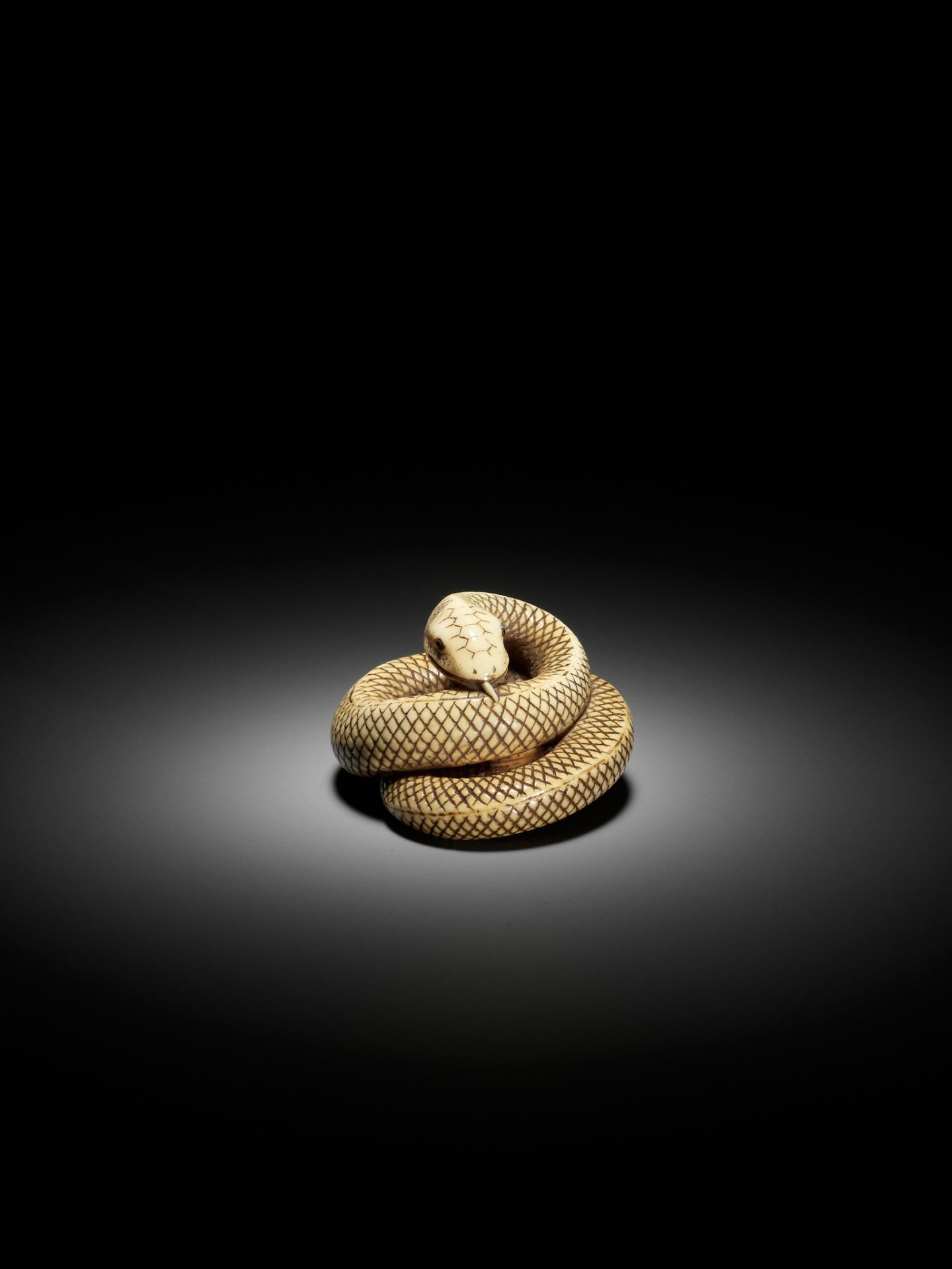 AN IVORY NETSUKE OF A COILED SNAKE, ATTRIBUTED TO OKATOMO - Bild 13 aus 16