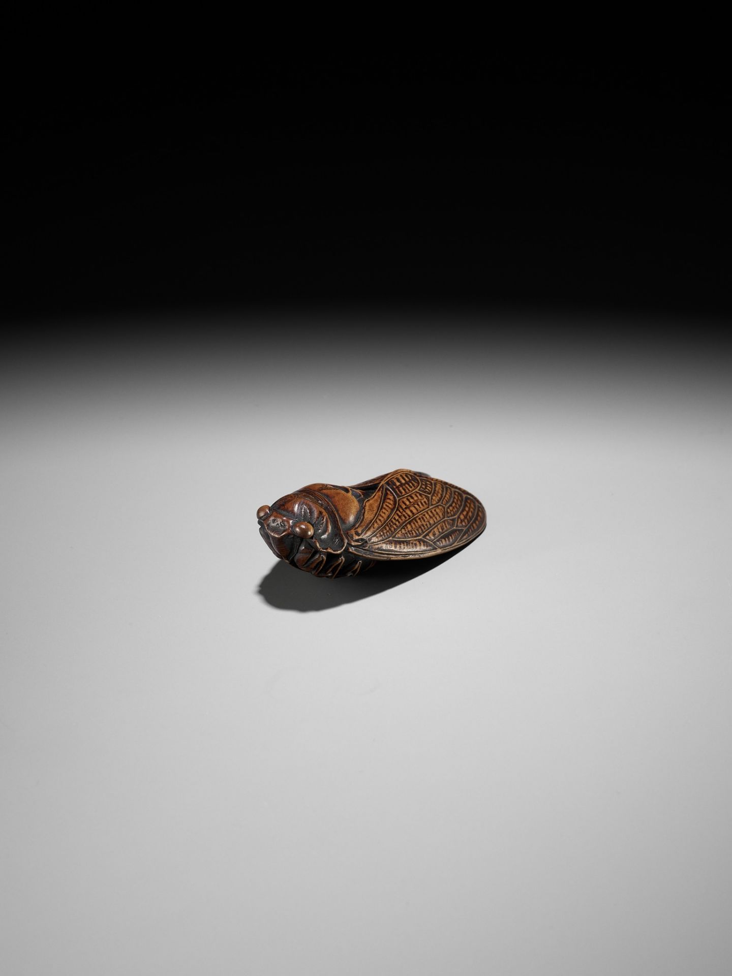 JUGYOKU: A FINE WOOD NETSUKE OF A CICADA - Image 5 of 11