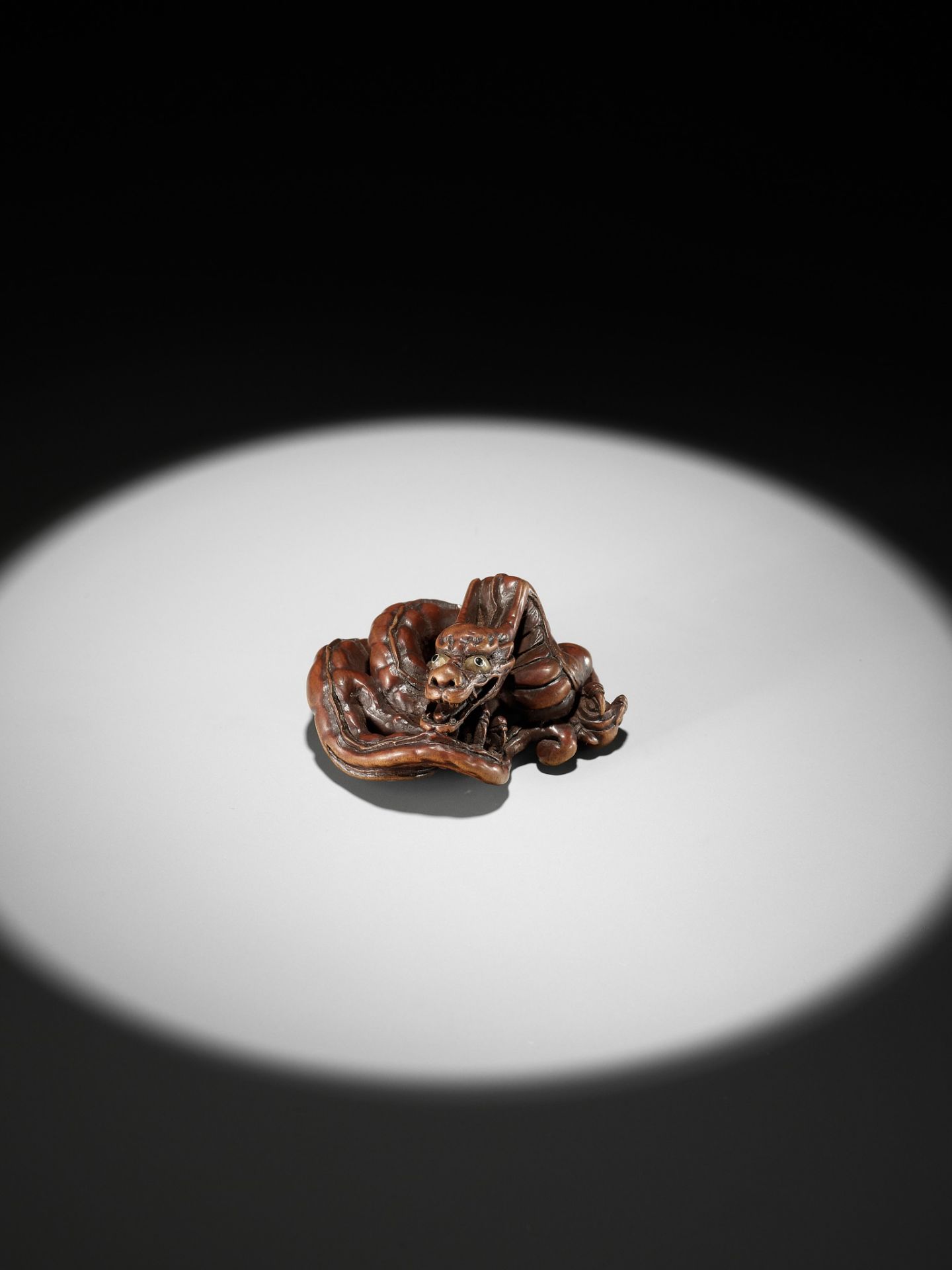 HIDARI ISSAN: A SUPERB WOOD NETSUKE OF A COILED DRAGON - Image 9 of 19