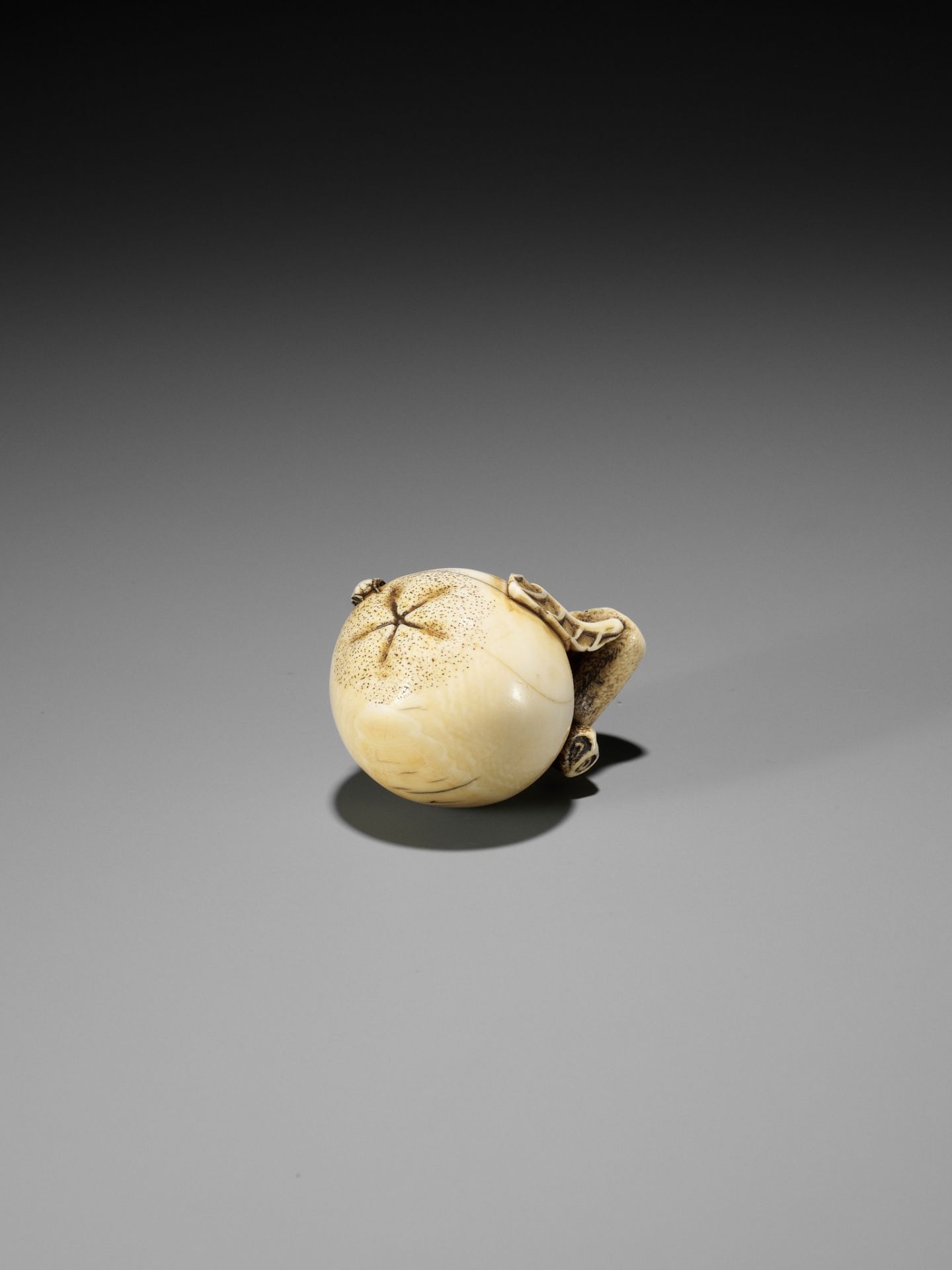 MITSUHIRO: AN IVORY NETSUKE OF A FLY ON A BIWA (LOQUAT) - Bild 5 aus 11