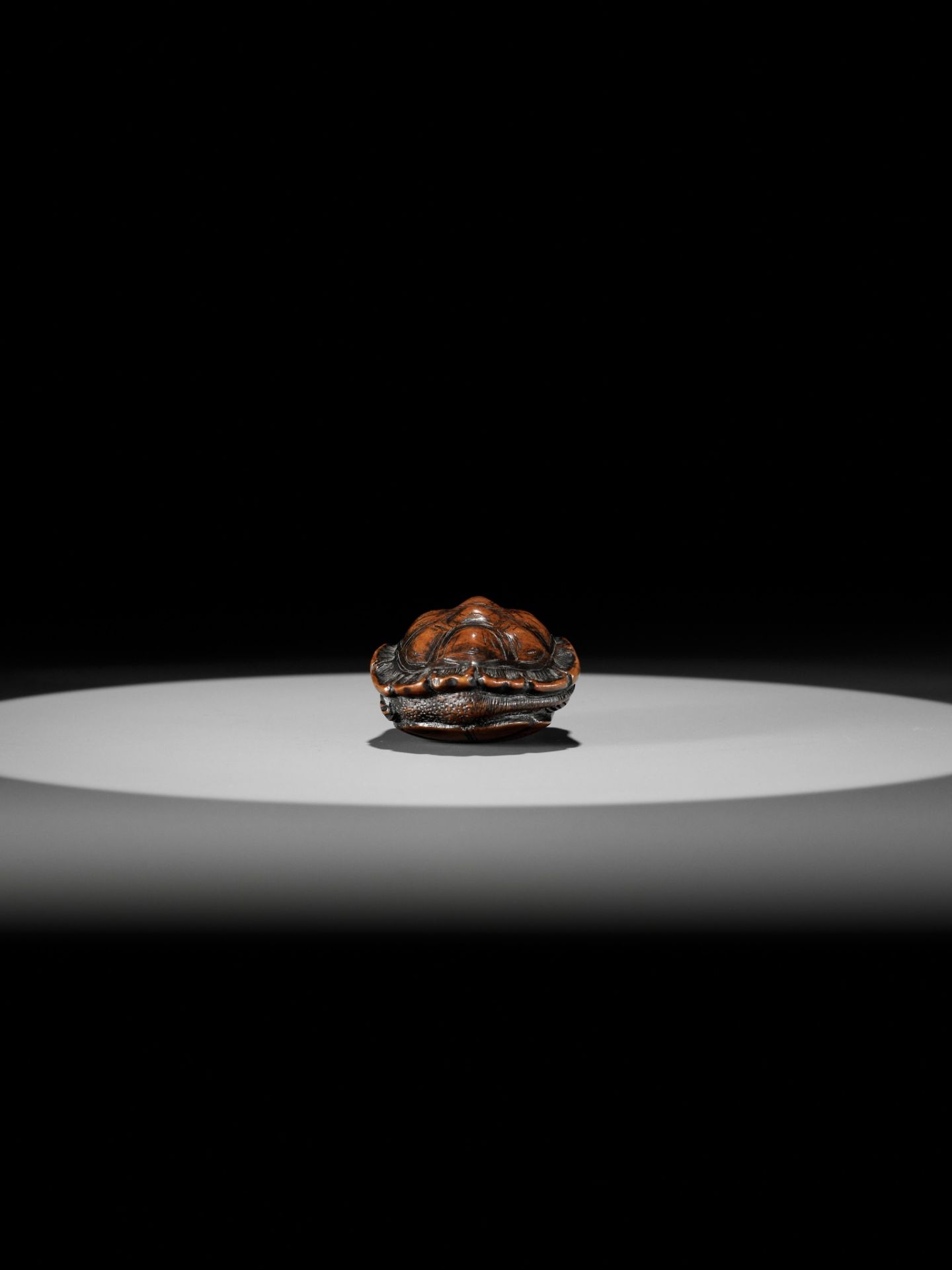 TOYOMASA: A SUPERB WOOD NETSUKE OF A TORTOISE - Bild 10 aus 18