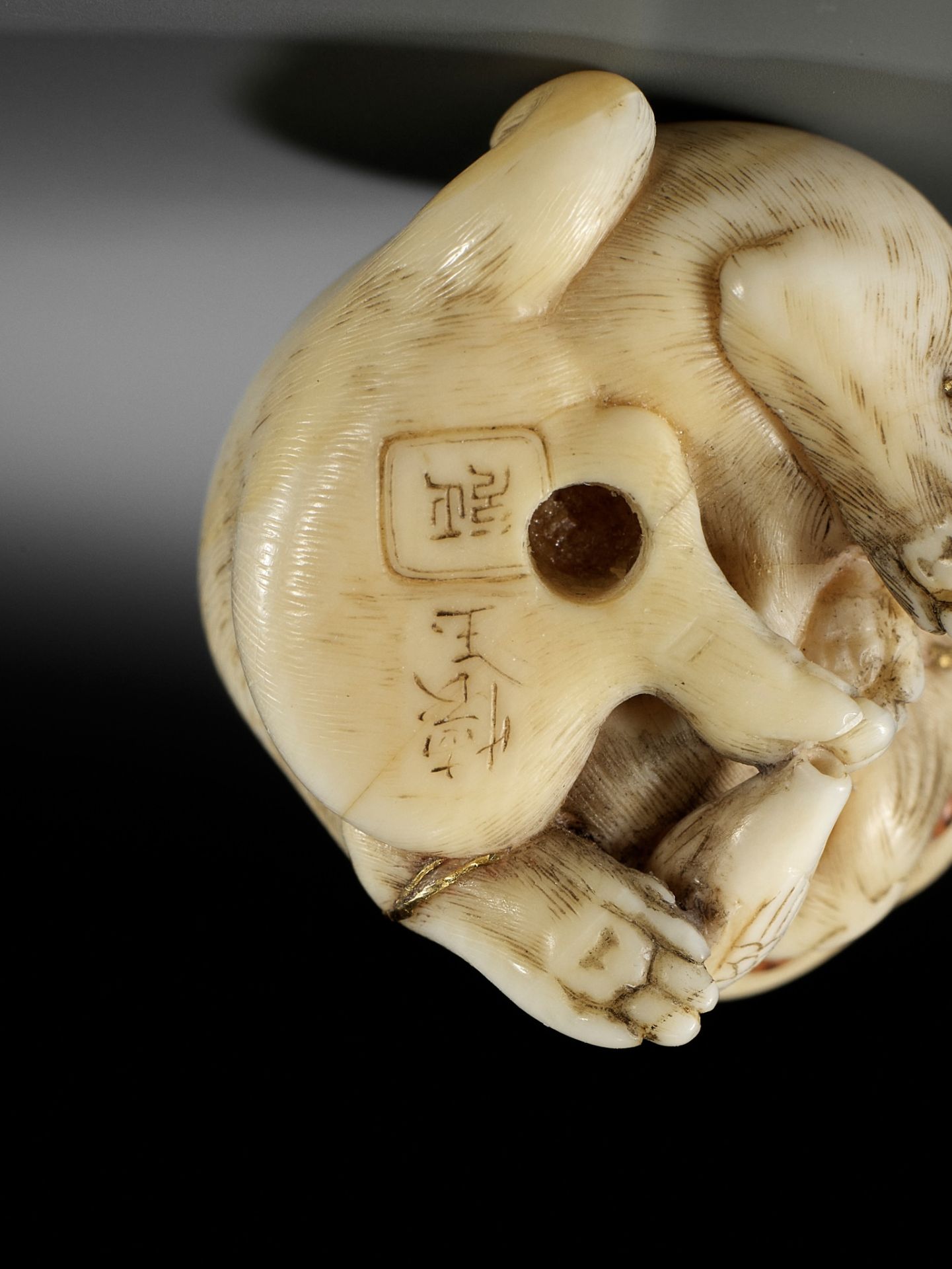 KAIGYOKUSAI MASATSUGU: A SUPERB IVORY NETSUKE OF A PUPPY WITH TOY BIRD - Bild 16 aus 16