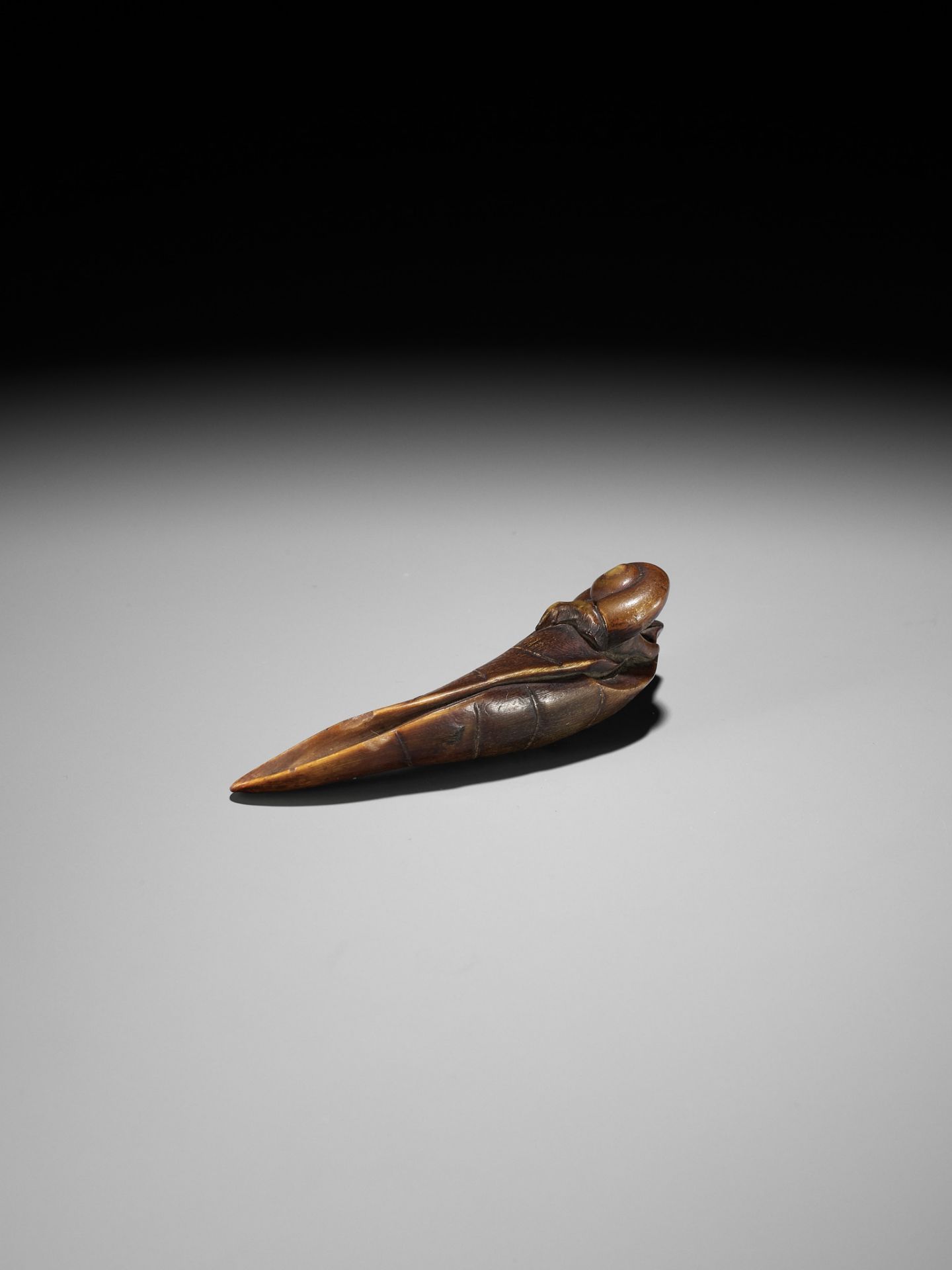 KANMAN: A RARE BUFFALO HORN NETSUKE OF A SNAIL ON A TARO LEAF - Bild 7 aus 15