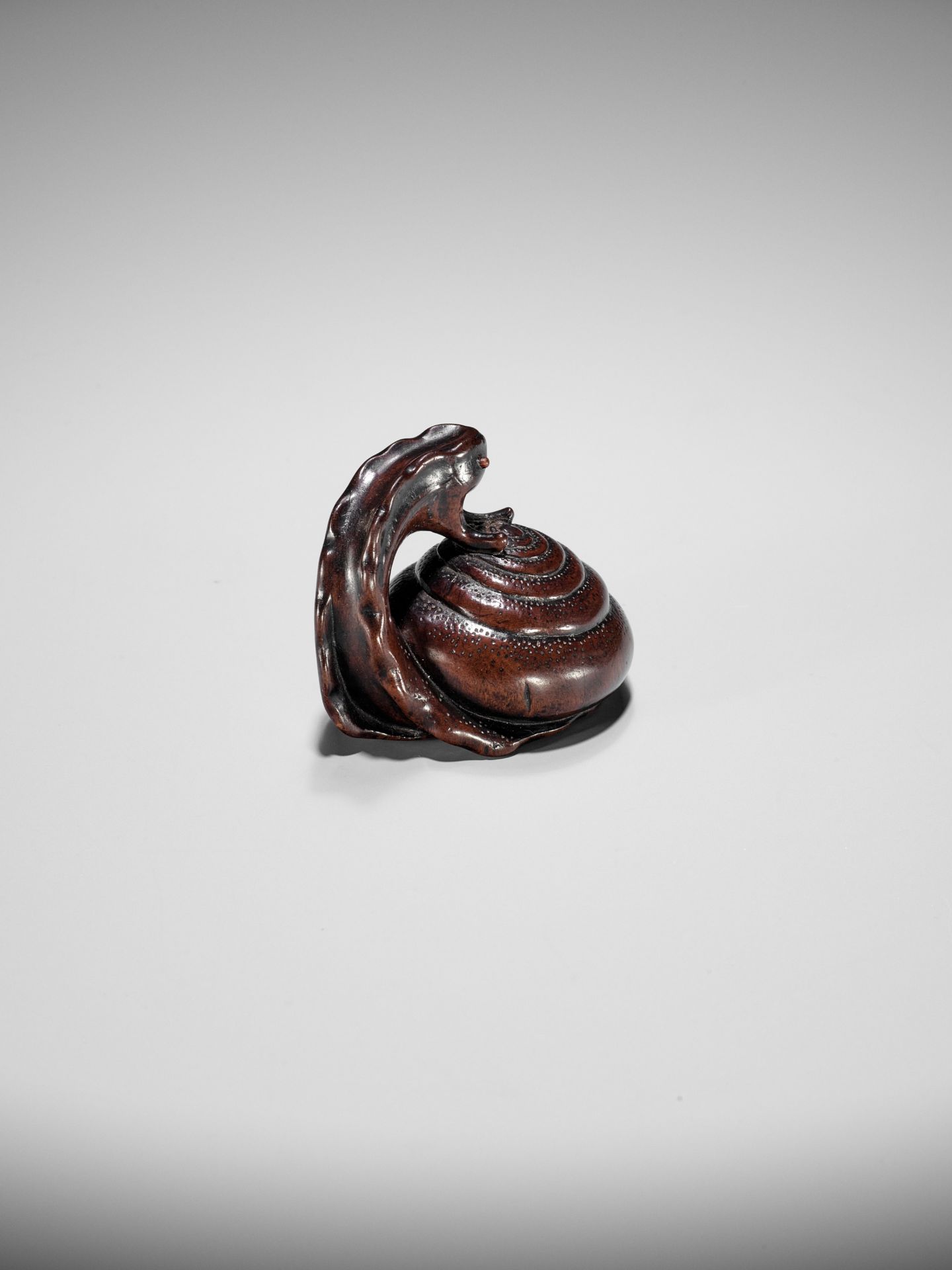 SHUZAN: AN EXCEPTIONAL WOOD NETSUKE OF A SNAIL ACROBAT - Bild 10 aus 25