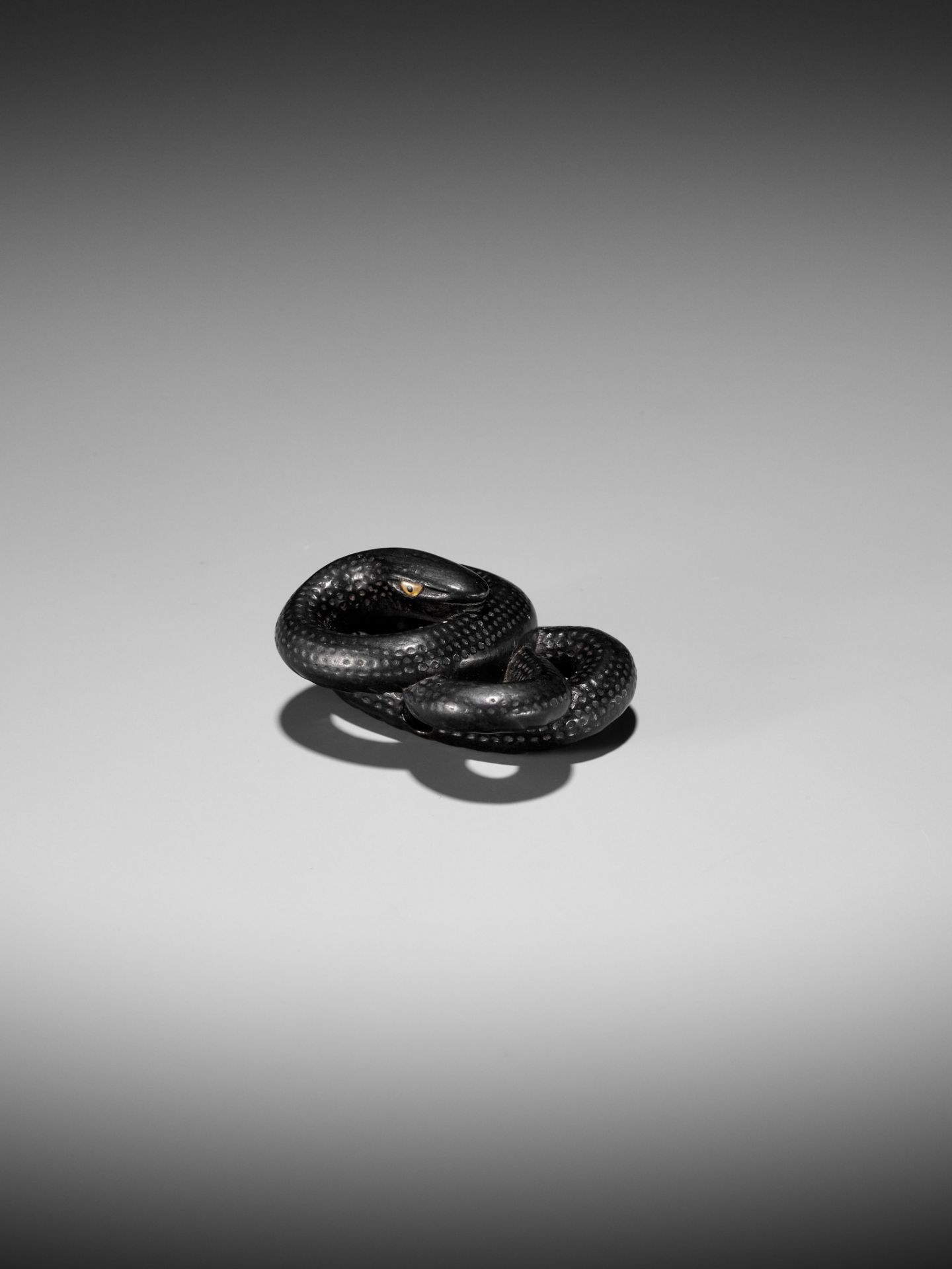 A RARE EBONY WOOD NETSUKE OF COILED SNAKE - Image 7 of 10