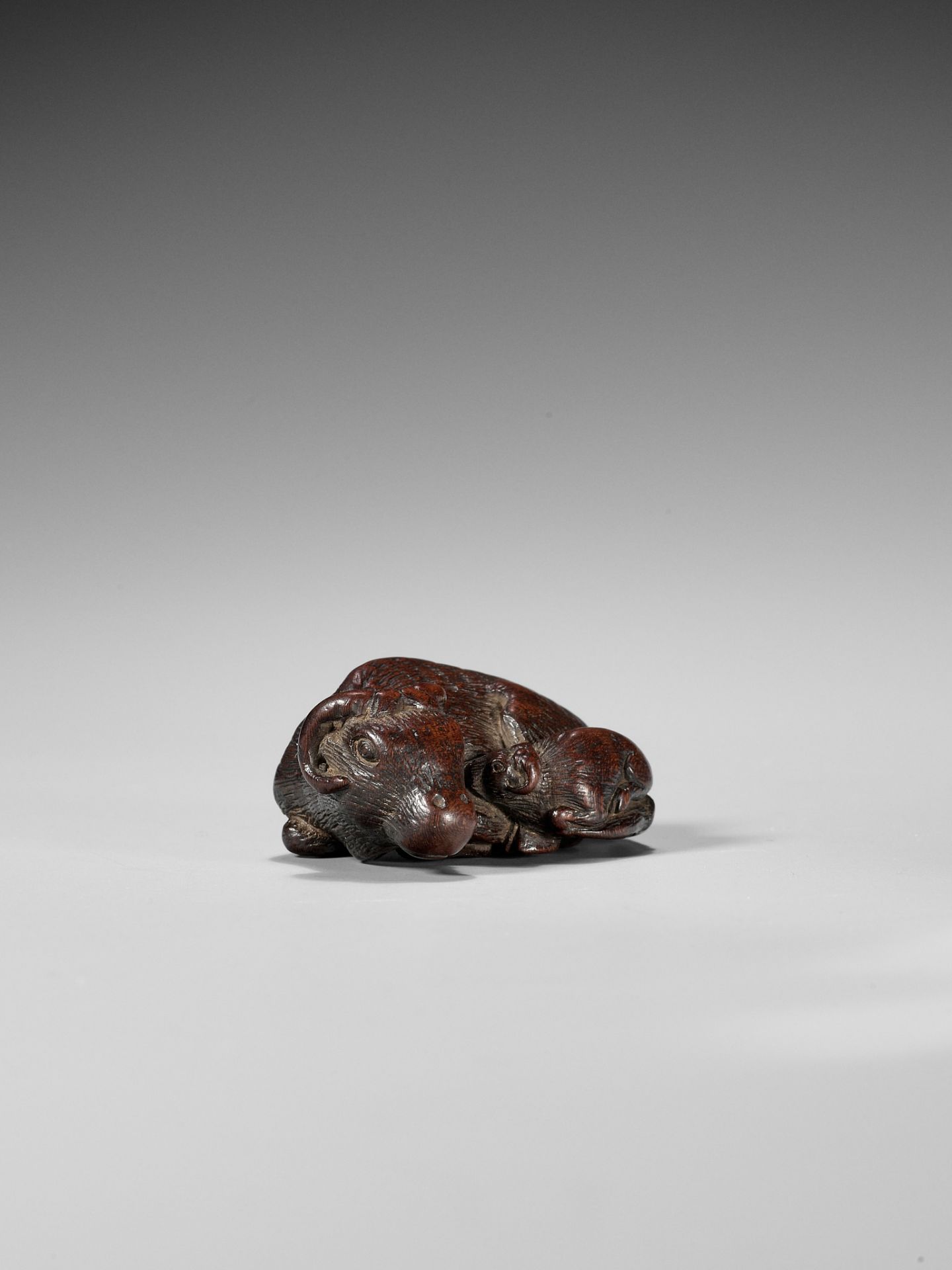 A SUPERB AND VERY RARE WOOD NETSUKE OF AN OX AND CALF, ATTRIBUTED TO TAMETAKA - Image 12 of 12