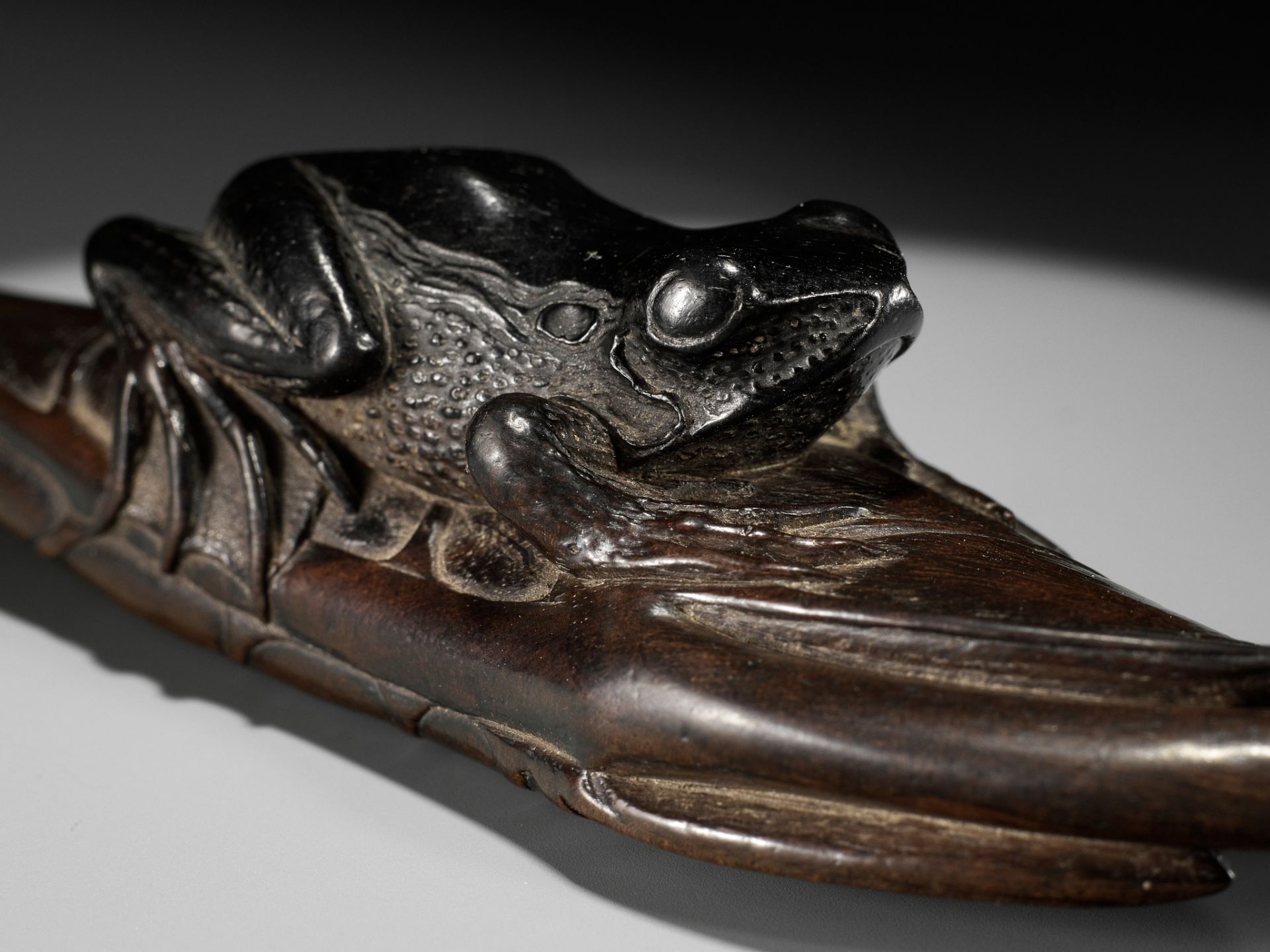 KANMAN: AN EXCEPTIONAL AND LARGE KUROGAKI (BLACK PERSIMMON) WOOD NETSUKE OF A FROG ON A LOTUS LEAF