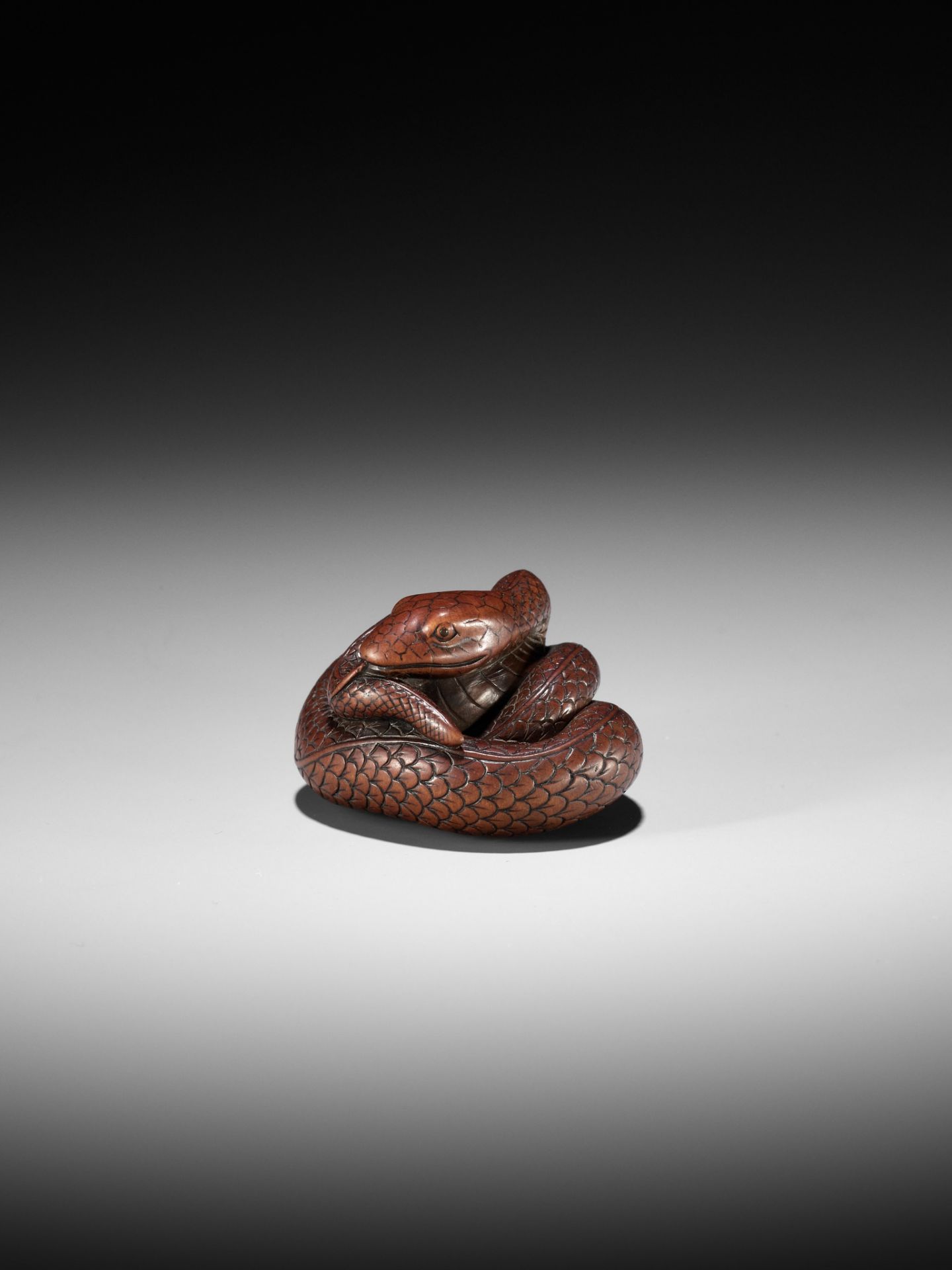 AN EXCEPTIONAL AND LARGE WOOD NETSUKE OF A SNAKE, ATTRIBUTED TO OKATOMO - Image 10 of 19