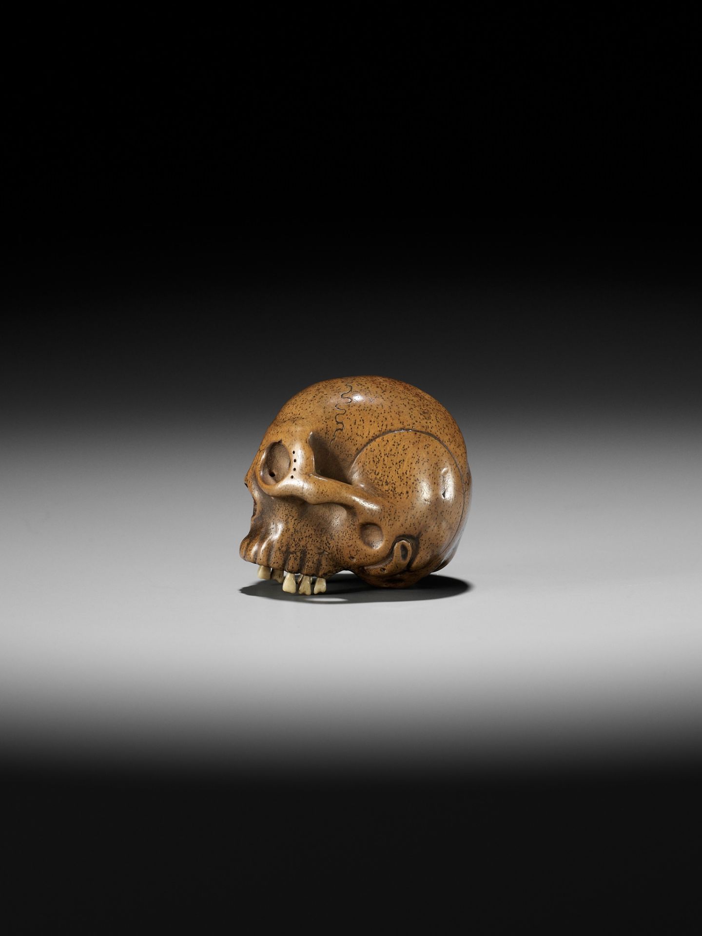TADASHIGE: A SUPERB WOOD NETSUKE OF A SKULL WITH INLAID STAG ANTLER TEETH - Image 8 of 12