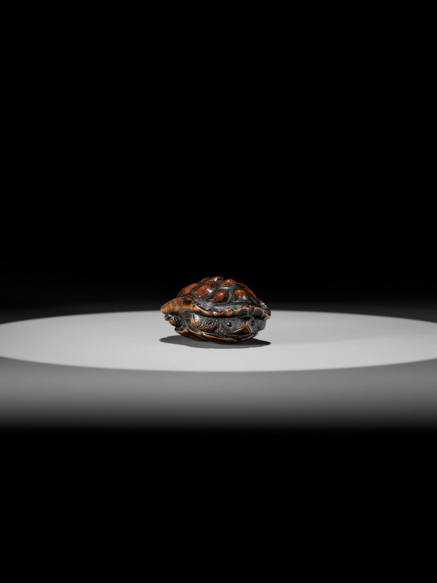 TOYOMASA: A SUPERB WOOD NETSUKE OF A TORTOISE - Image 13 of 18