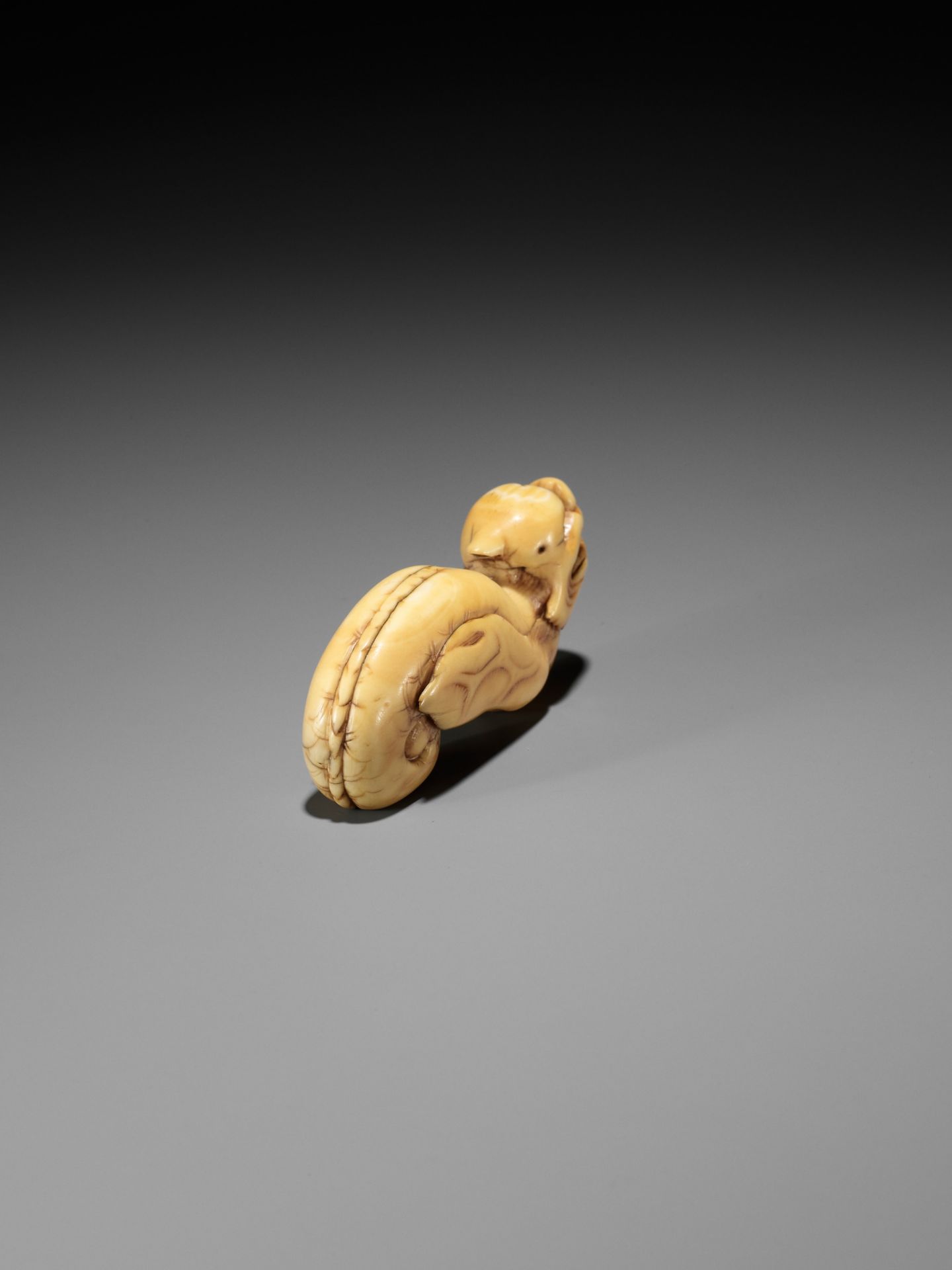 A RARE IVORY NETSUKE OF A WINGED DRAGON-FISH (MAKATSUGYO) - Image 10 of 13