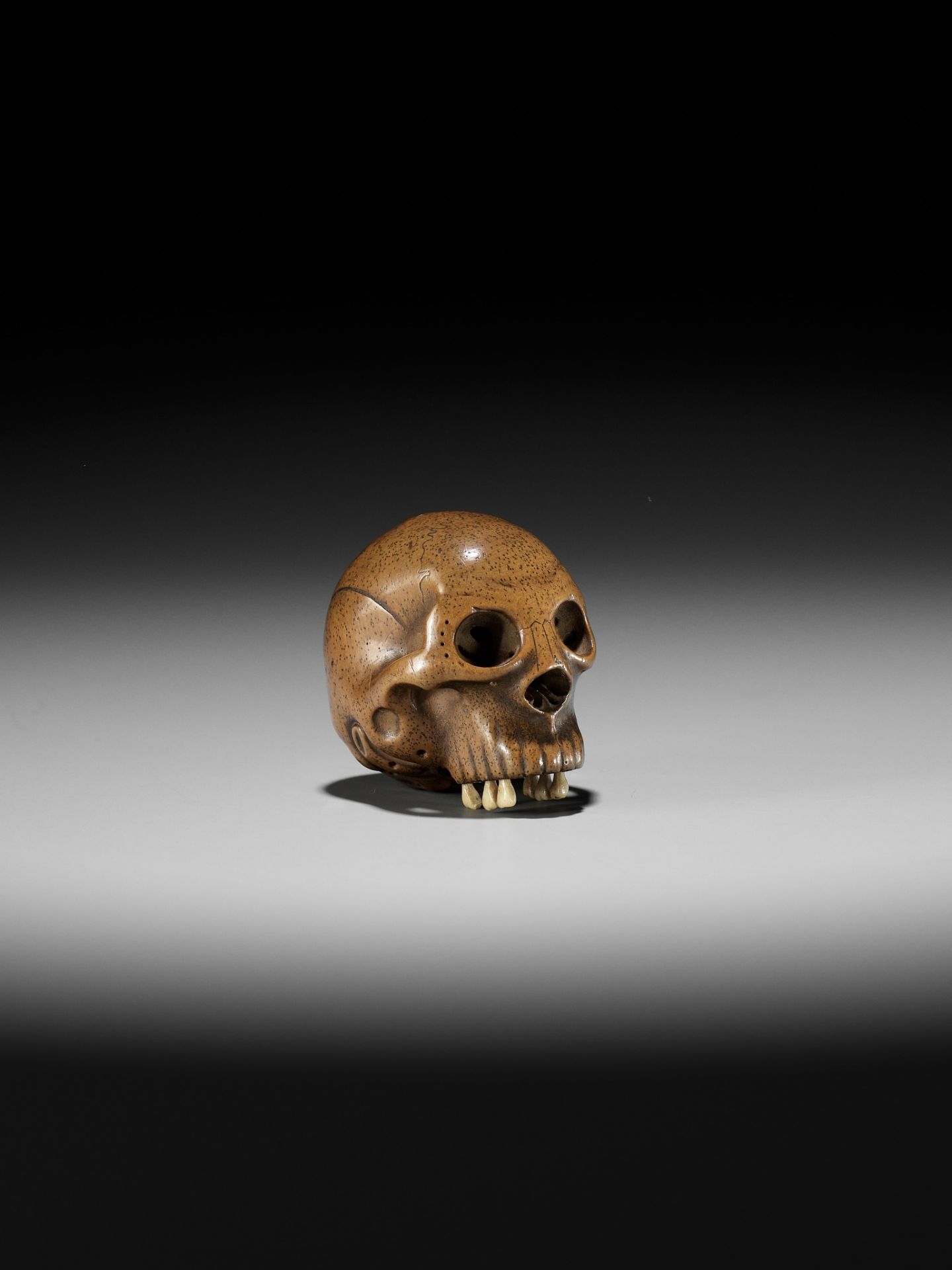 TADASHIGE: A SUPERB WOOD NETSUKE OF A SKULL WITH INLAID STAG ANTLER TEETH - Image 6 of 12