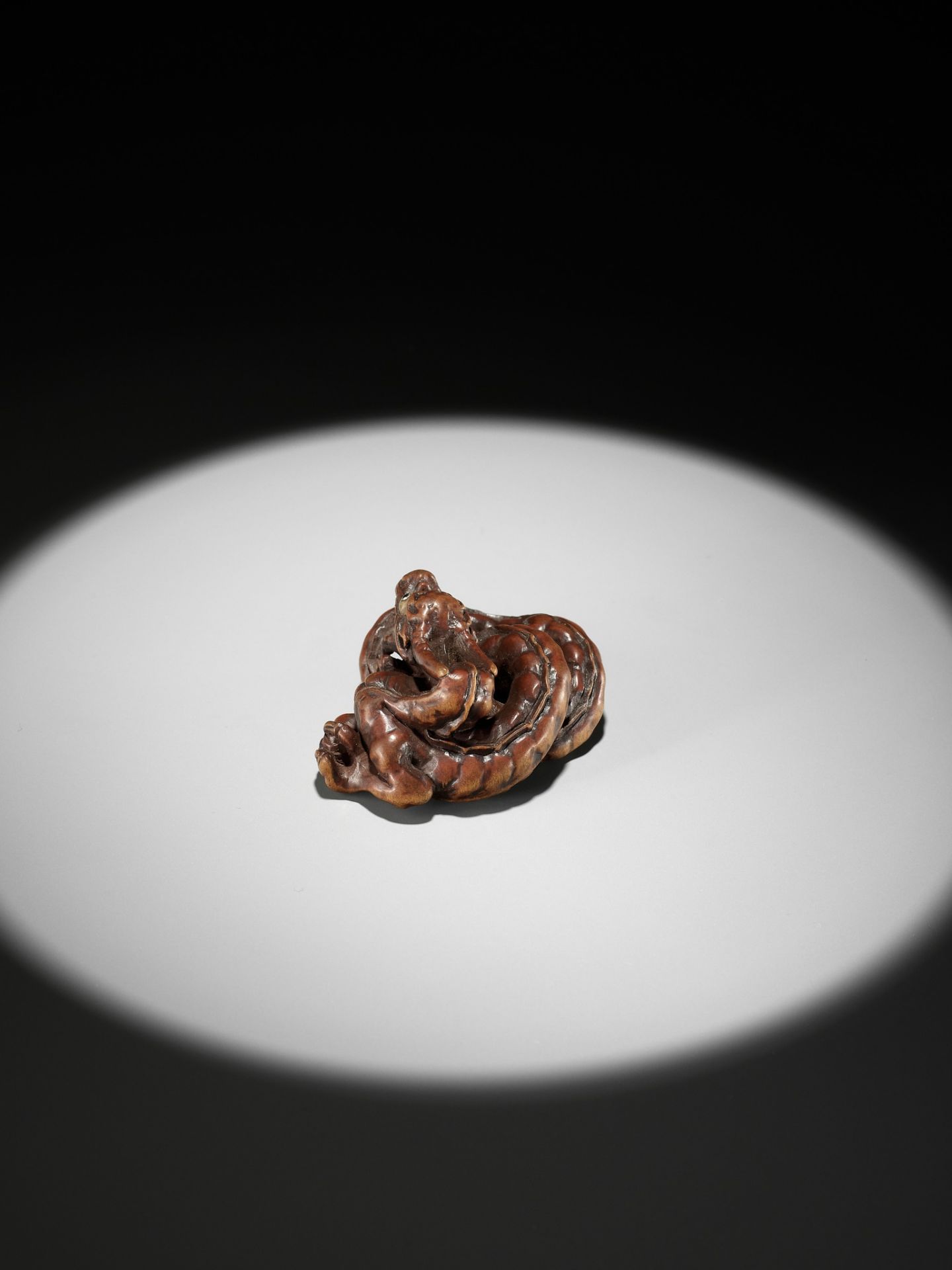 HIDARI ISSAN: A SUPERB WOOD NETSUKE OF A COILED DRAGON - Image 14 of 19