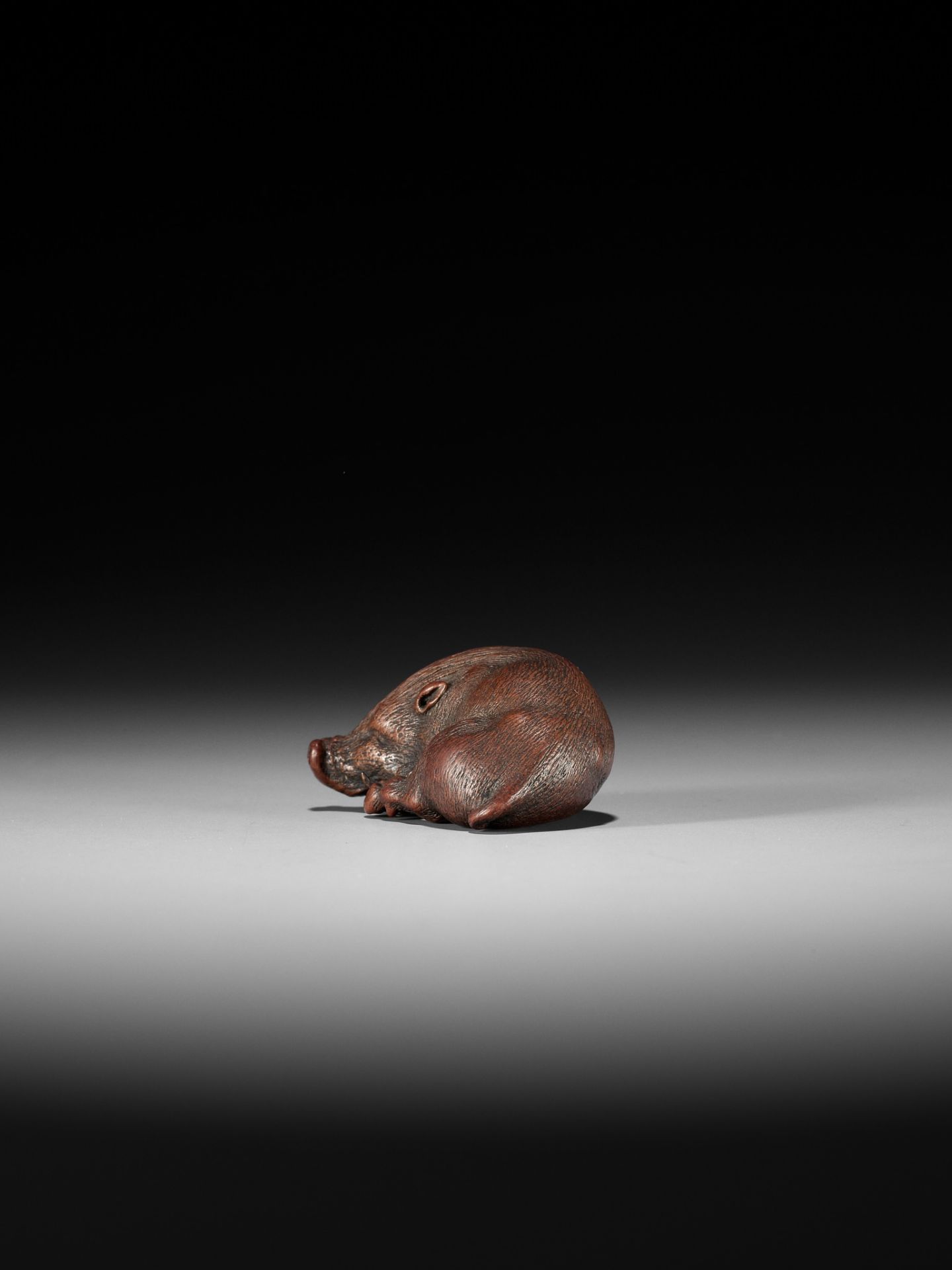 ITTAN: A SUPERB WOOD NETSUKE OF A LONG-SNOUTED WILD BOAR - Bild 10 aus 16