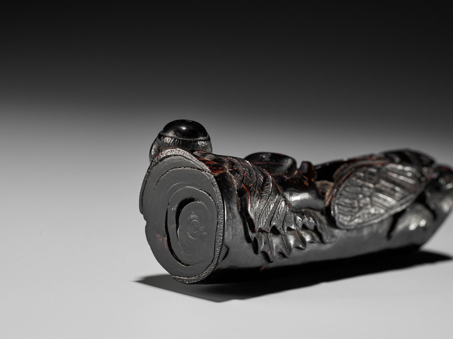 KANMAN: A SUPERB AND LARGE UMIMATSU (SEAPINE) NETSUKE OF A CICADA ON AN OAK BRANCH - Image 10 of 19