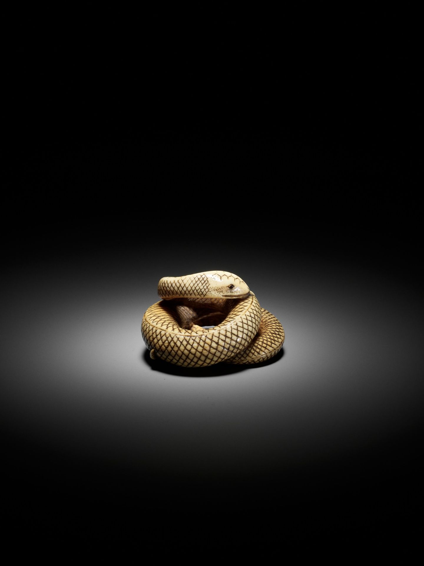 AN IVORY NETSUKE OF A COILED SNAKE, ATTRIBUTED TO OKATOMO - Image 10 of 16