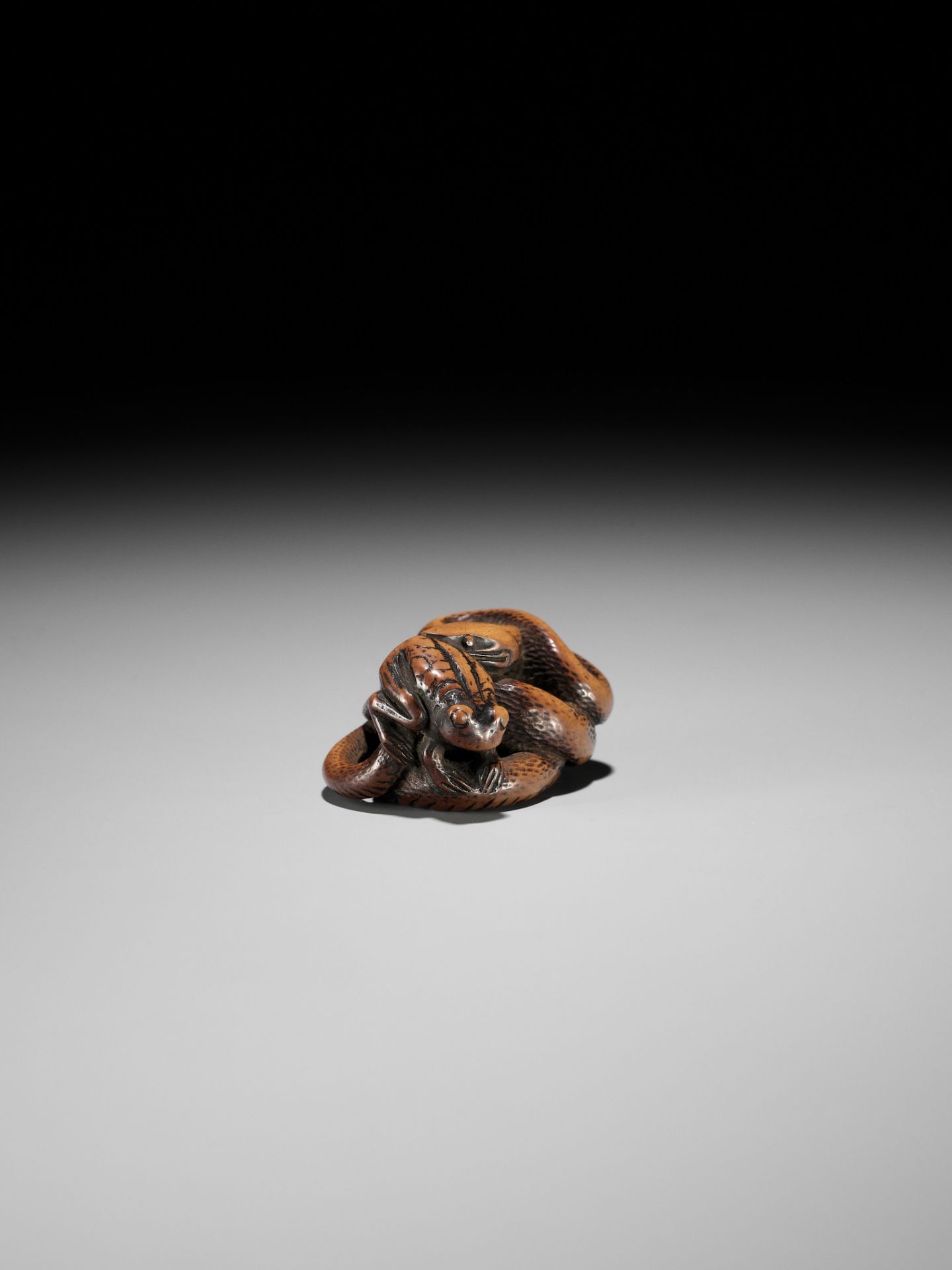 AN EARLY WOOD NETSUKE OF A SNAKE AND FROG - Image 11 of 12