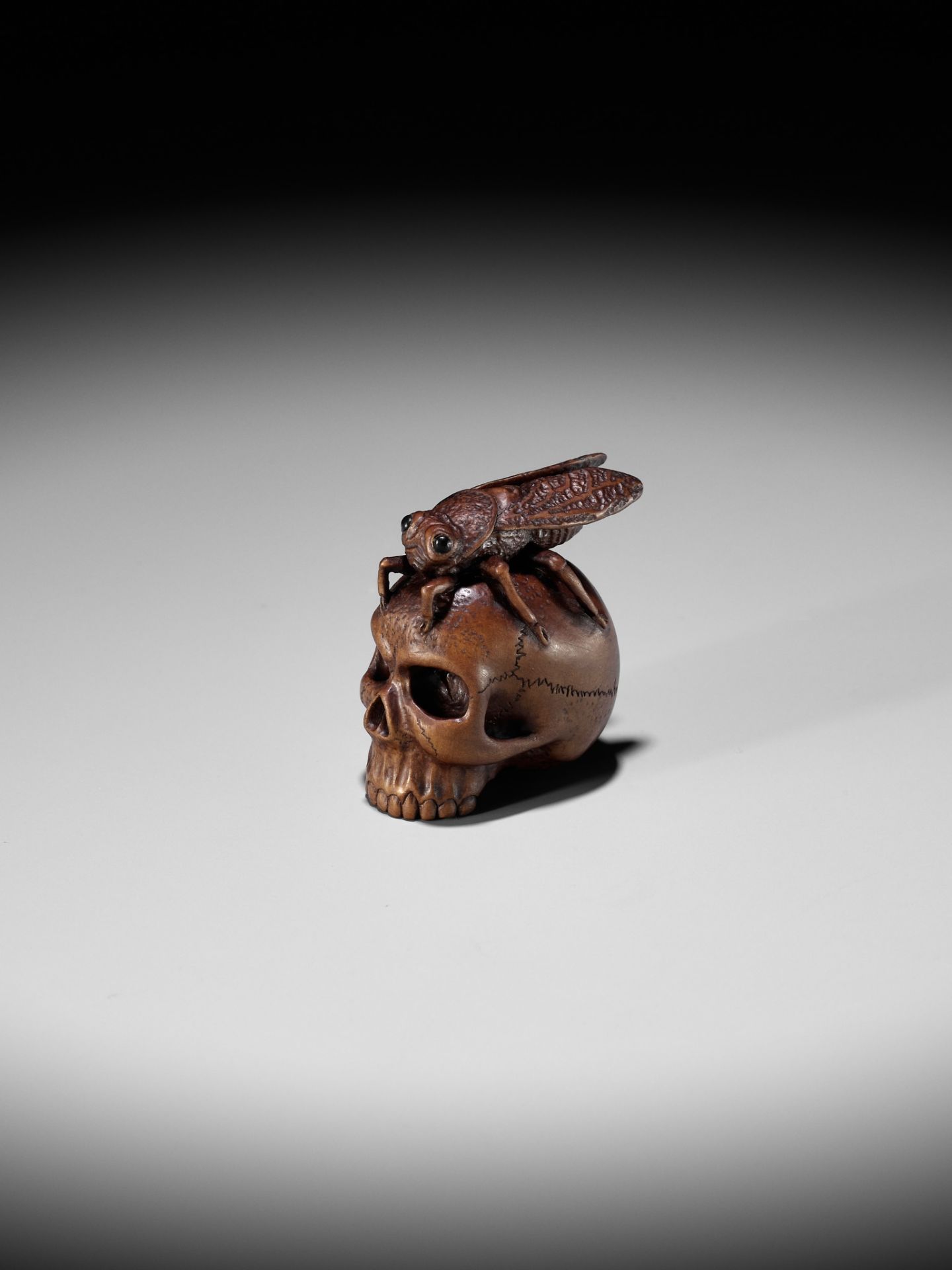 ALEXANDER DERKACHENKO: A WOOD NETSUKE OF A CICADA ON A SKULL - Bild 8 aus 16