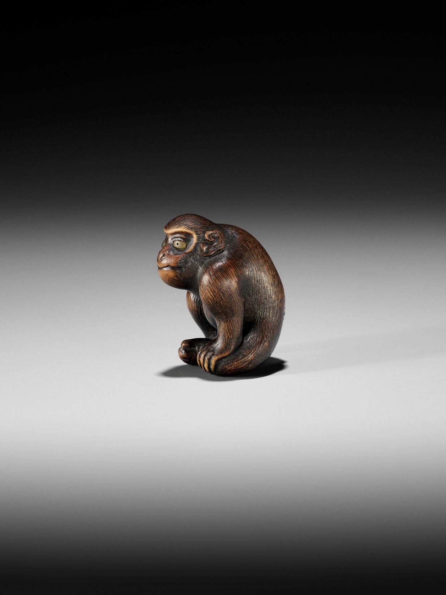 NAITO TOYOMASA: A SUPERB WOOD NETSUKE OF A MONKEY SCRATCHING ITSELF - Bild 14 aus 17