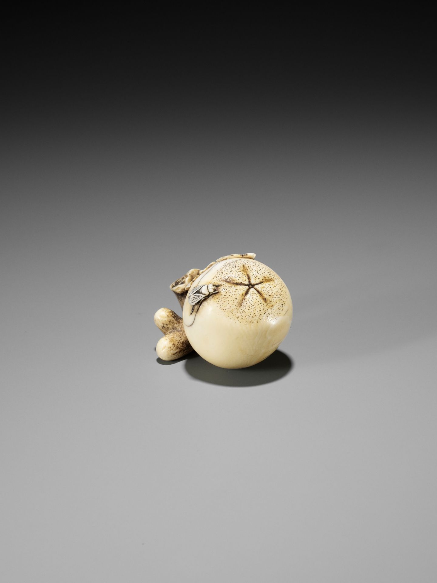 MITSUHIRO: AN IVORY NETSUKE OF A FLY ON A BIWA (LOQUAT) - Bild 3 aus 11