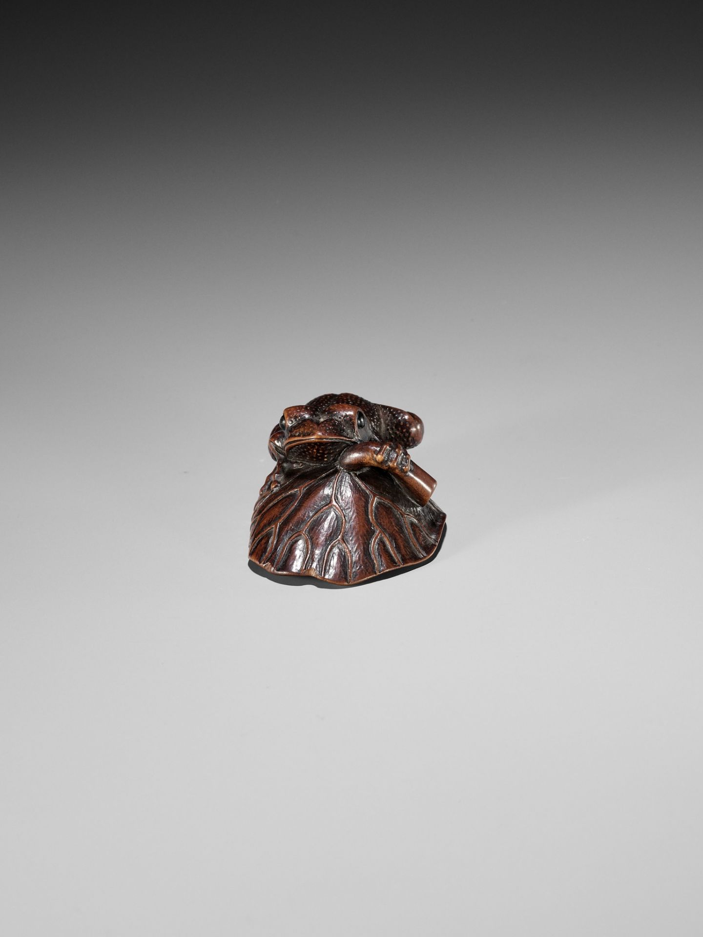 A FINE WOOD NETSUKE OF A TOAD ON A LOTUS LEAF - Image 8 of 9